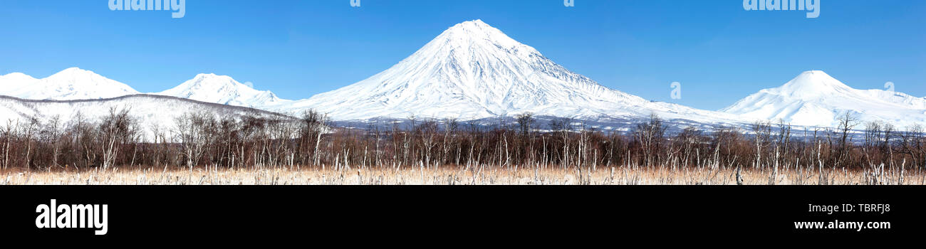 Panorama paysage paysage de montagne d'hiver de la péninsule du Kamtchatka : groupe de volcans Koryaksky, Avachinsky, Kozelsky Banque D'Images