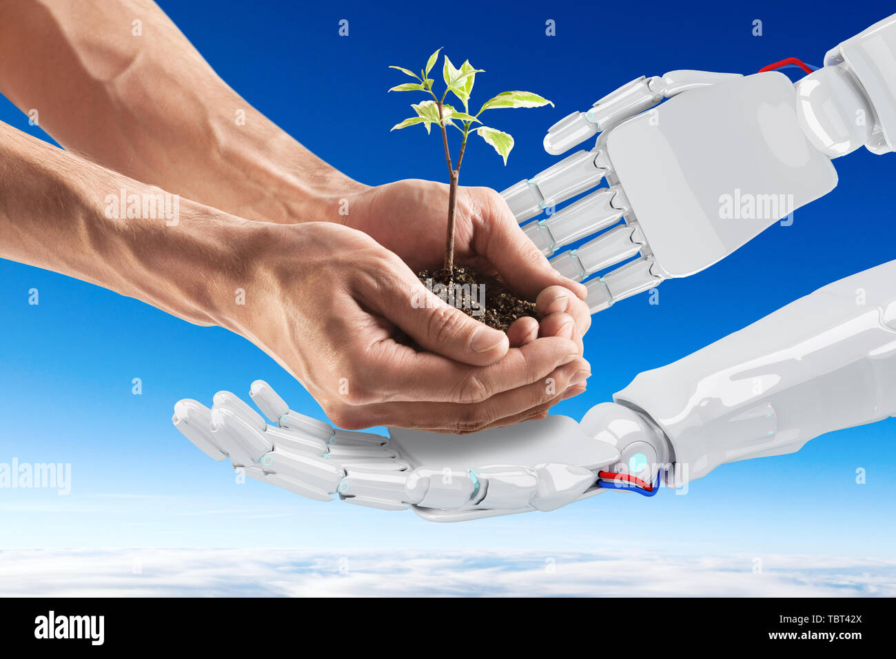 Les mains d'hommes donne loin petite plante ti les mains robotisées. Banque D'Images