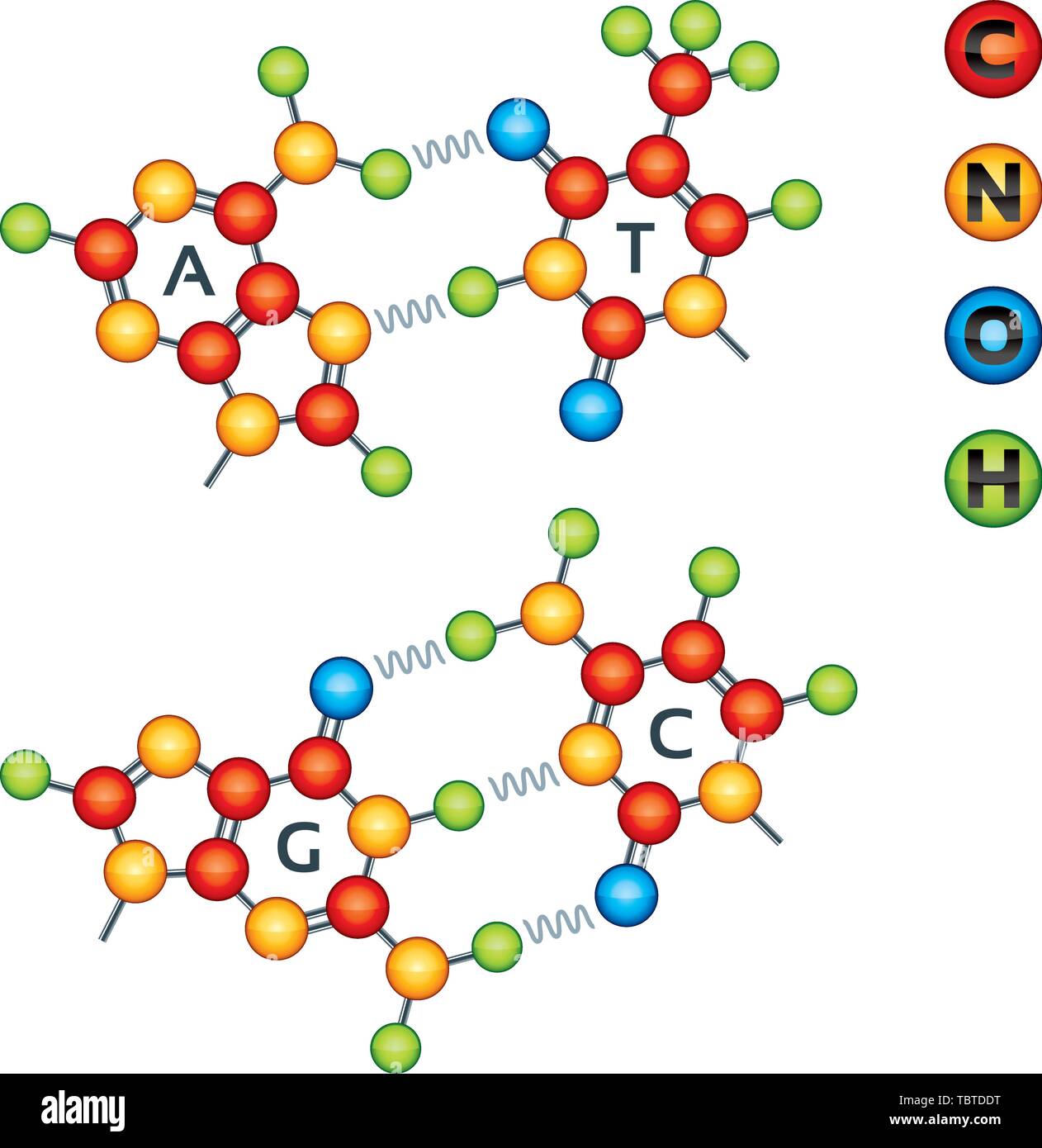 Vector illustration. La structure atomique des molécules d'ADN dans des couleurs vives. Illustration de Vecteur