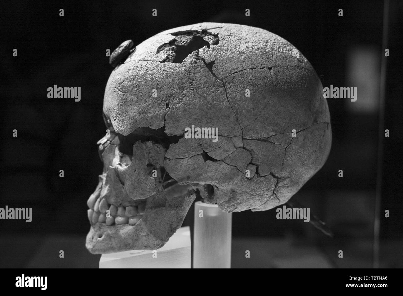 'Omission d'exposition chefs. Symboles du pouvoir" au Musée Archéologique National de Madrid, Espagne : d''atmosphère où : Madrid, Espagne Quand : 03 mai 2019 Credit : Oscar Gonzalez/WENN.com Banque D'Images