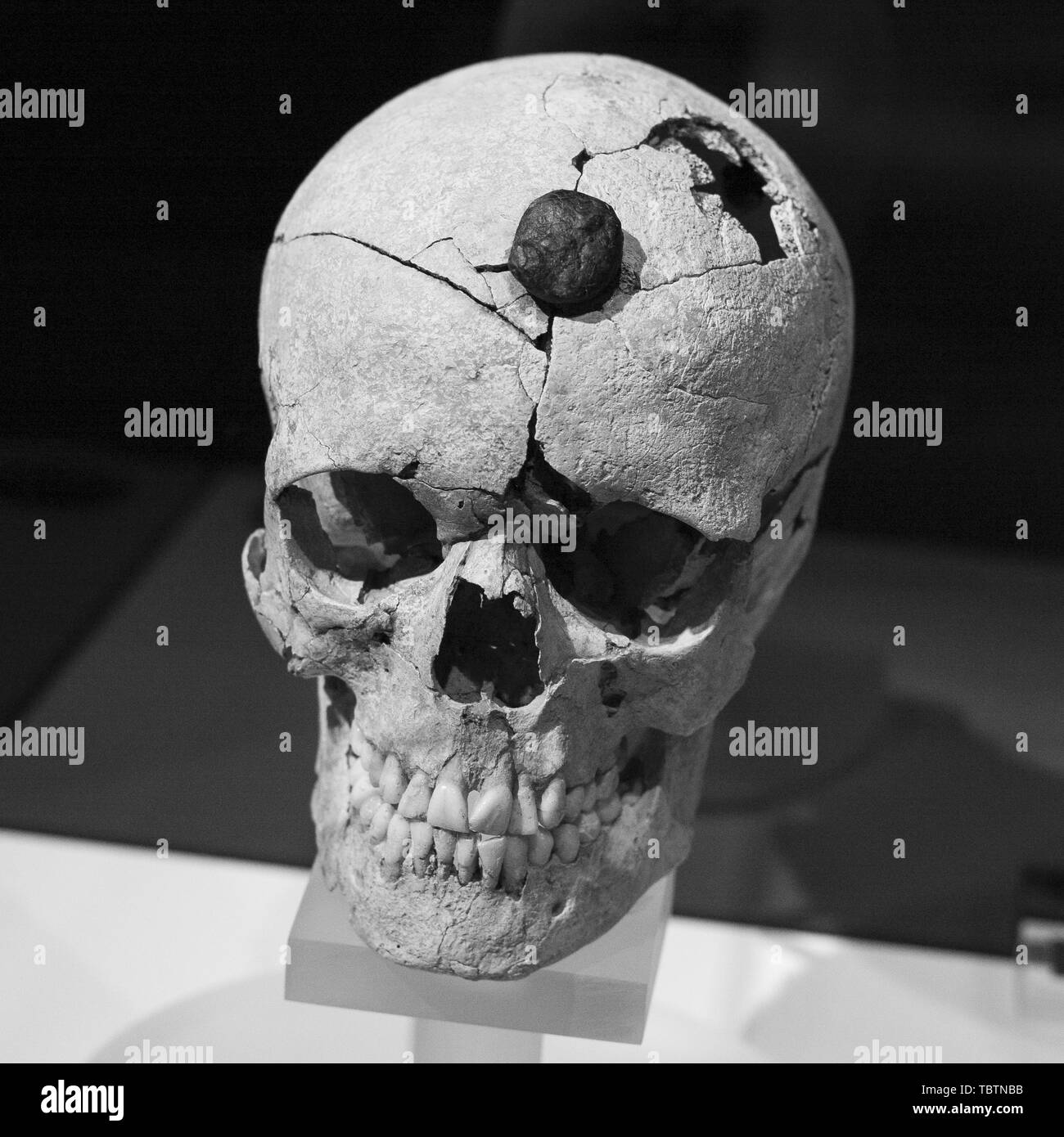 'Omission d'exposition chefs. Symboles du pouvoir" au Musée Archéologique National de Madrid, Espagne : d''atmosphère où : Madrid, Espagne Quand : 03 mai 2019 Credit : Oscar Gonzalez/WENN.com Banque D'Images