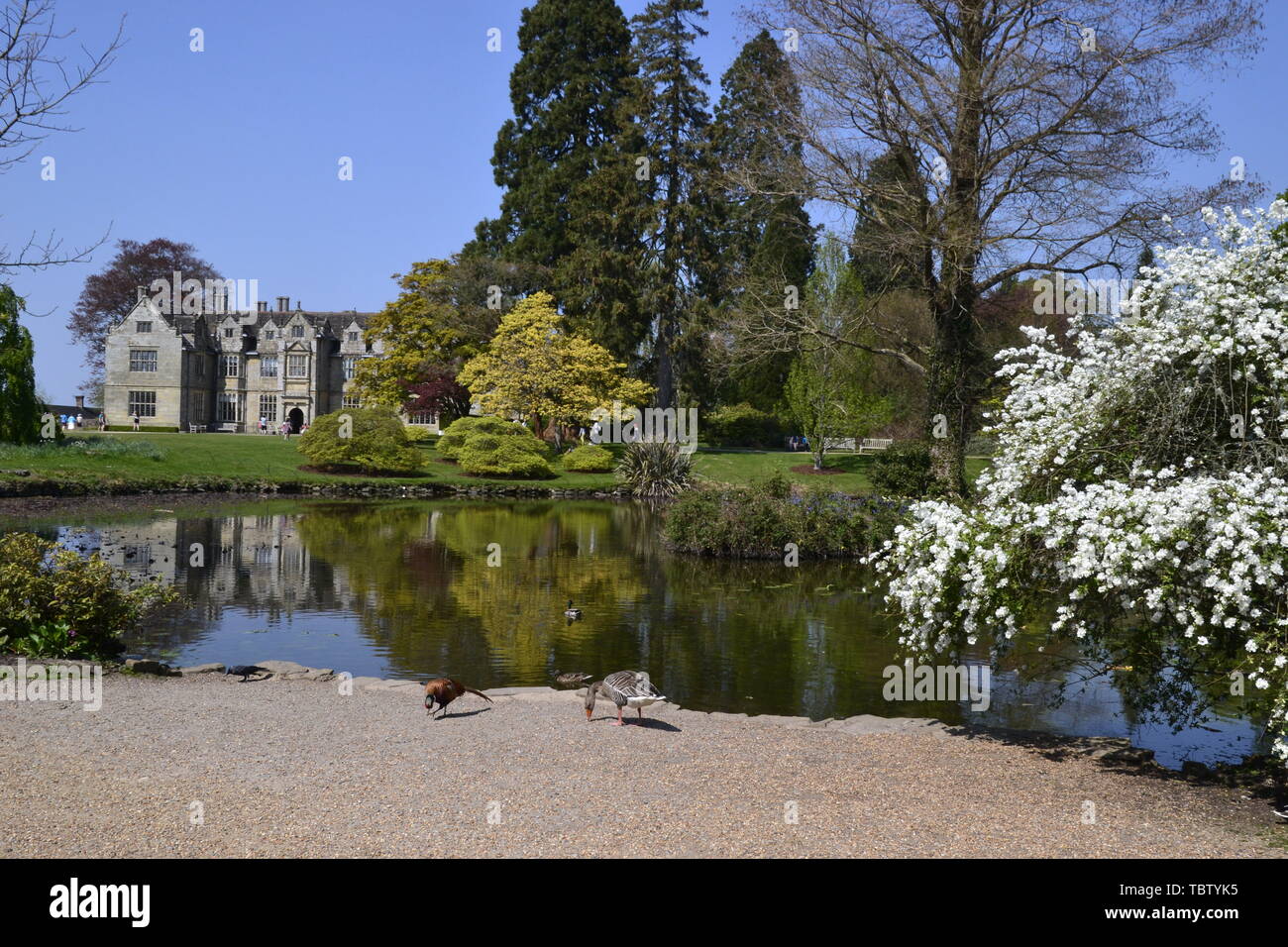 La Mansion House et jardins d'eau à Wakehurst, East Sussex, UK Banque D'Images