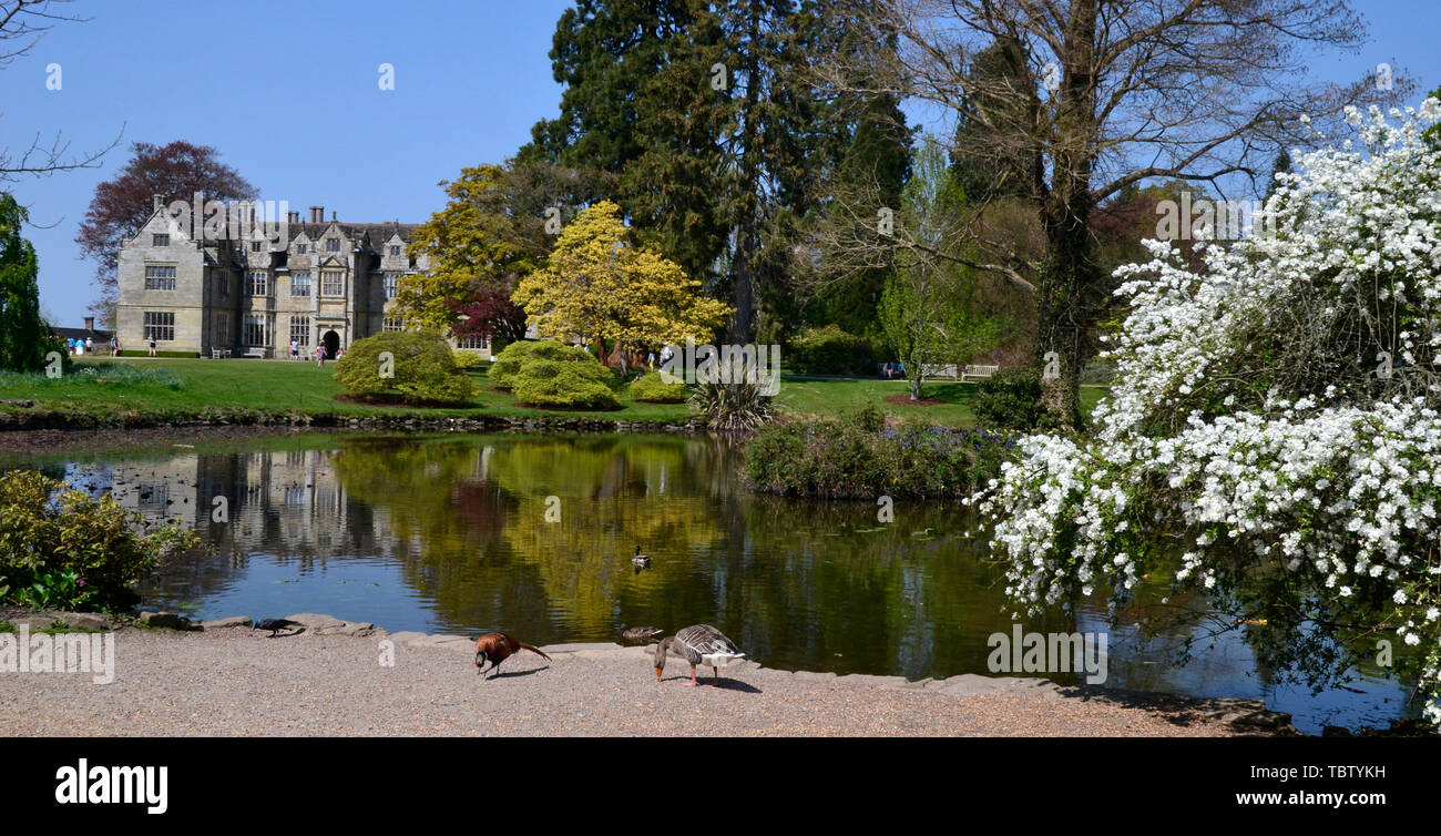 La Mansion House et jardins d'eau à Wakehurst, East Sussex, UK Banque D'Images