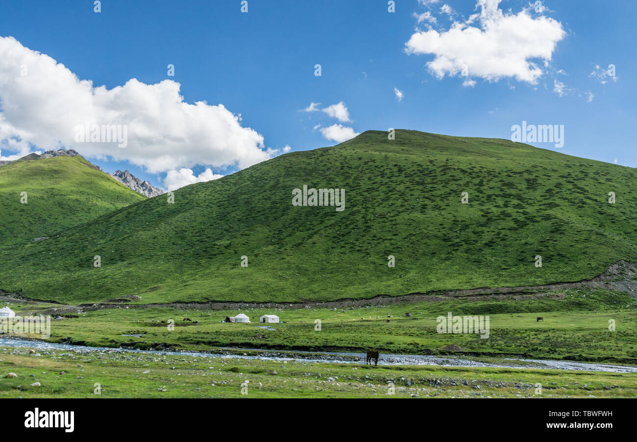 Les prairies alpines le long de la G217 Duku sous l'autoroute l'été, ciel bleu et nuages blancs dans le Xinjiang, Chine Banque D'Images