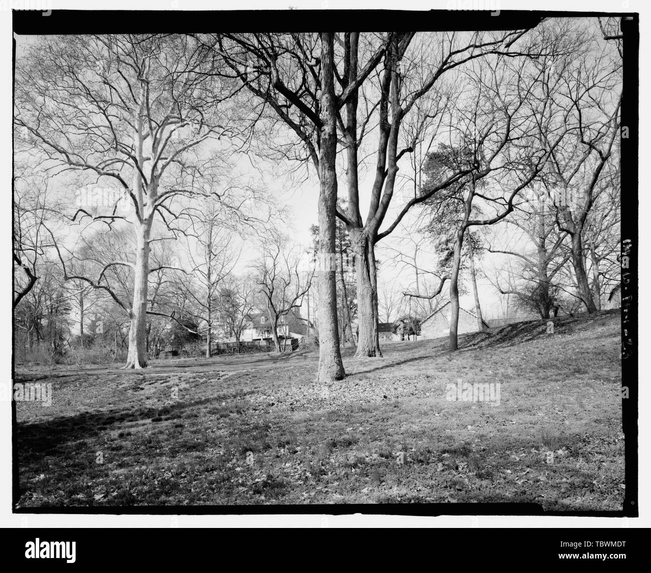 Vue générale PLUS INCLUSIVE DE LA MAISON, le jardin, et les dépendances DU JARDIN BOTANIQUE DU CÔTÉ SUD-EST DE LA Maison et Jardin de John Bartram, 54th Street et Lindbergh Boulevard, Philadelphie, comté de Philadelphie, PA Bartram, John Bartram, William Eastwick, Andrew Carr, Ann Bartram Carr, Robert Bartram, John Carr, John Bartram Meehan, Thomas Sargent, Charles, John Bartram Association Fry, Joel T, historien Elliott, Joseph, photographe Calderon, David, délinéateur Arzola, Robert R, gestionnaire de projet Banque D'Images