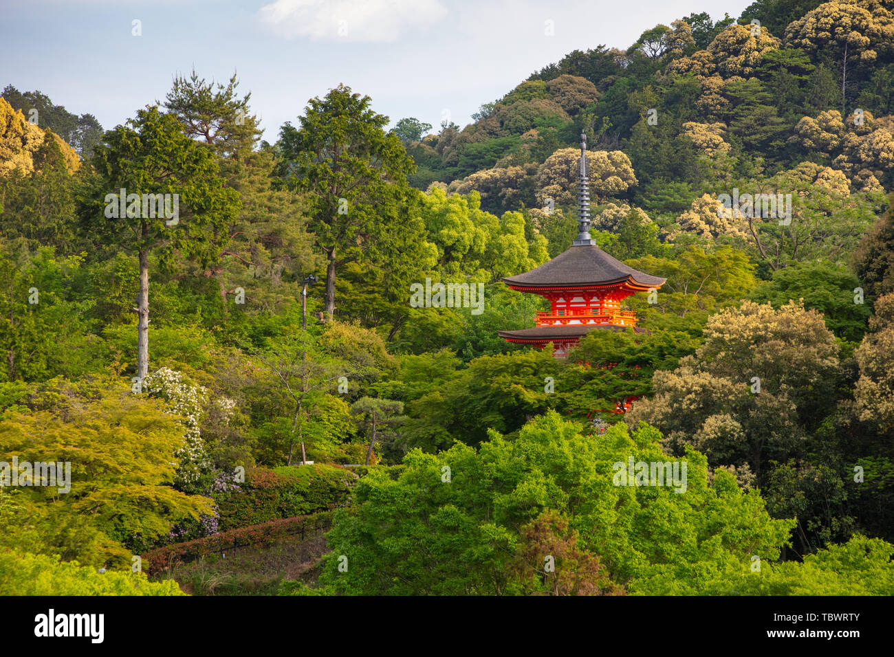Le Temple Kiyomizu-dera Kyoto au Japon Banque D'Images