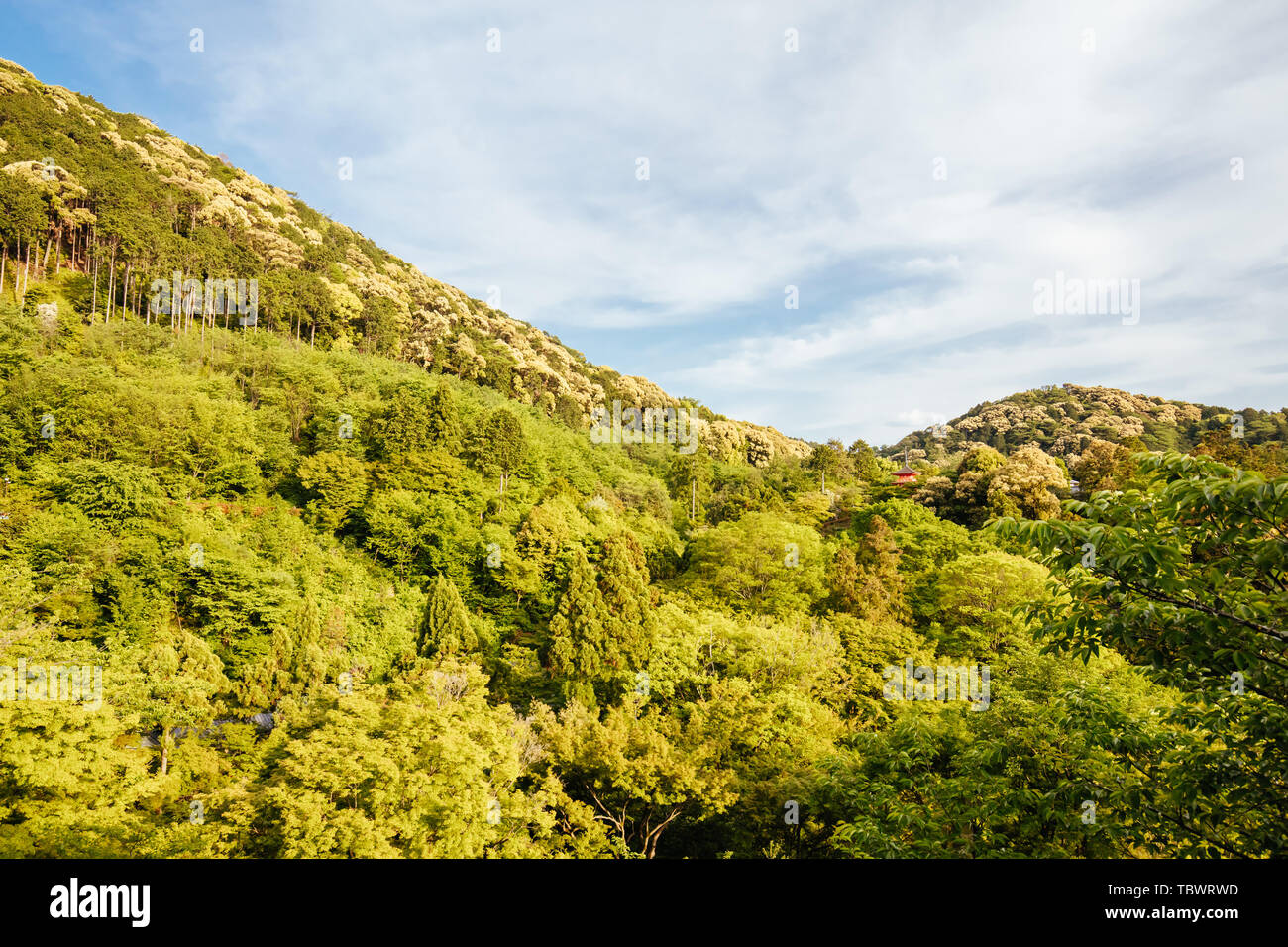 Le Temple Kiyomizu-dera Kyoto au Japon Banque D'Images