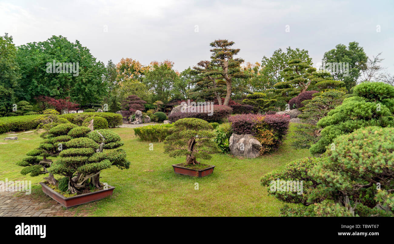 Bao family garden Banque D'Images