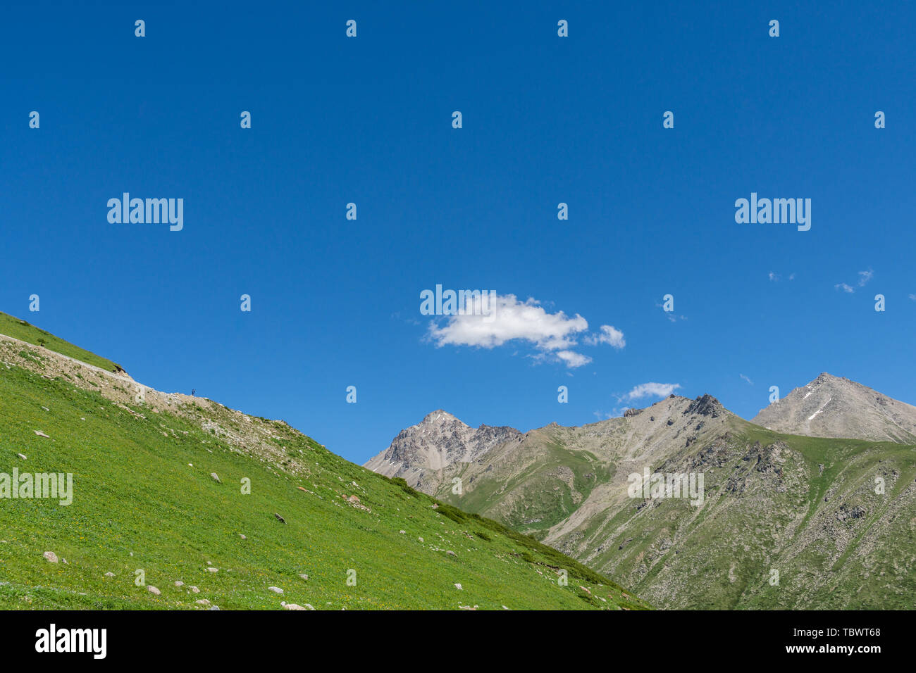 Les prairies alpines le long de la G217 Duku sous l'autoroute l'été, ciel bleu et nuages blancs dans le Xinjiang, Chine Banque D'Images