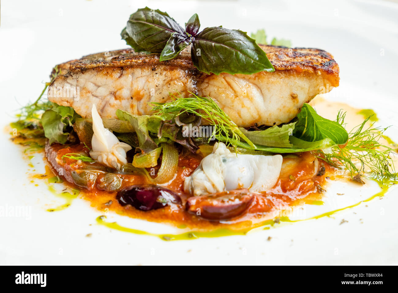Close Up Of Pan Grill Bar Poele Filet De Poisson Sauce Livournaise Italien Avec Tomates Olives Capres L Aneth Origan Chilly Palourdes Persil Fruits De Mer Photo Stock Alamy