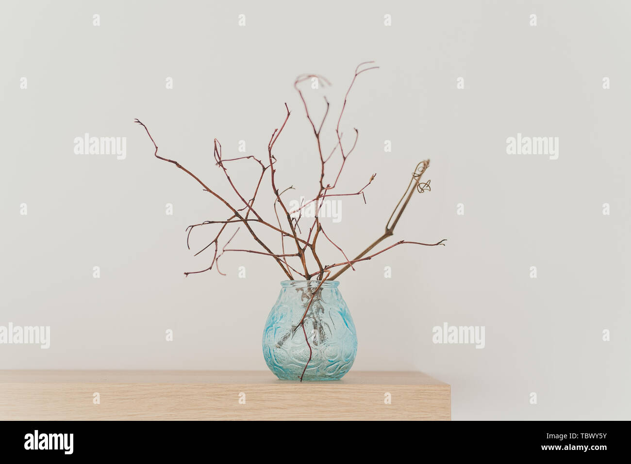 Durée de lumière sur le mur avec décor. Une branche dans un vase. Le minimalisme scandinave dans l'intérieur. Banque D'Images
