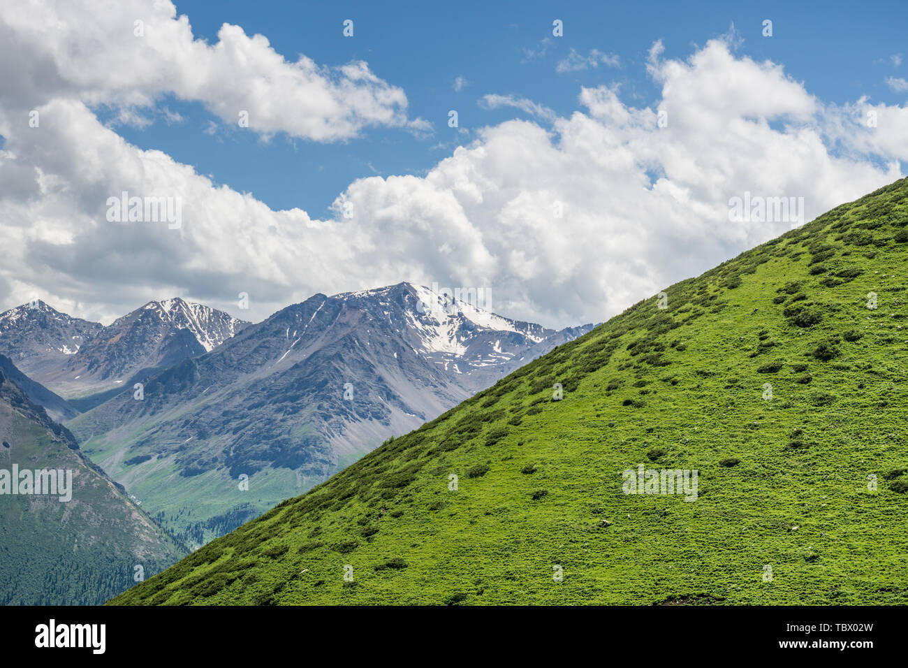 Les prairies alpines le long de la G217 Duku sous l'autoroute l'été, ciel bleu et nuages blancs dans le Xinjiang, Chine Banque D'Images