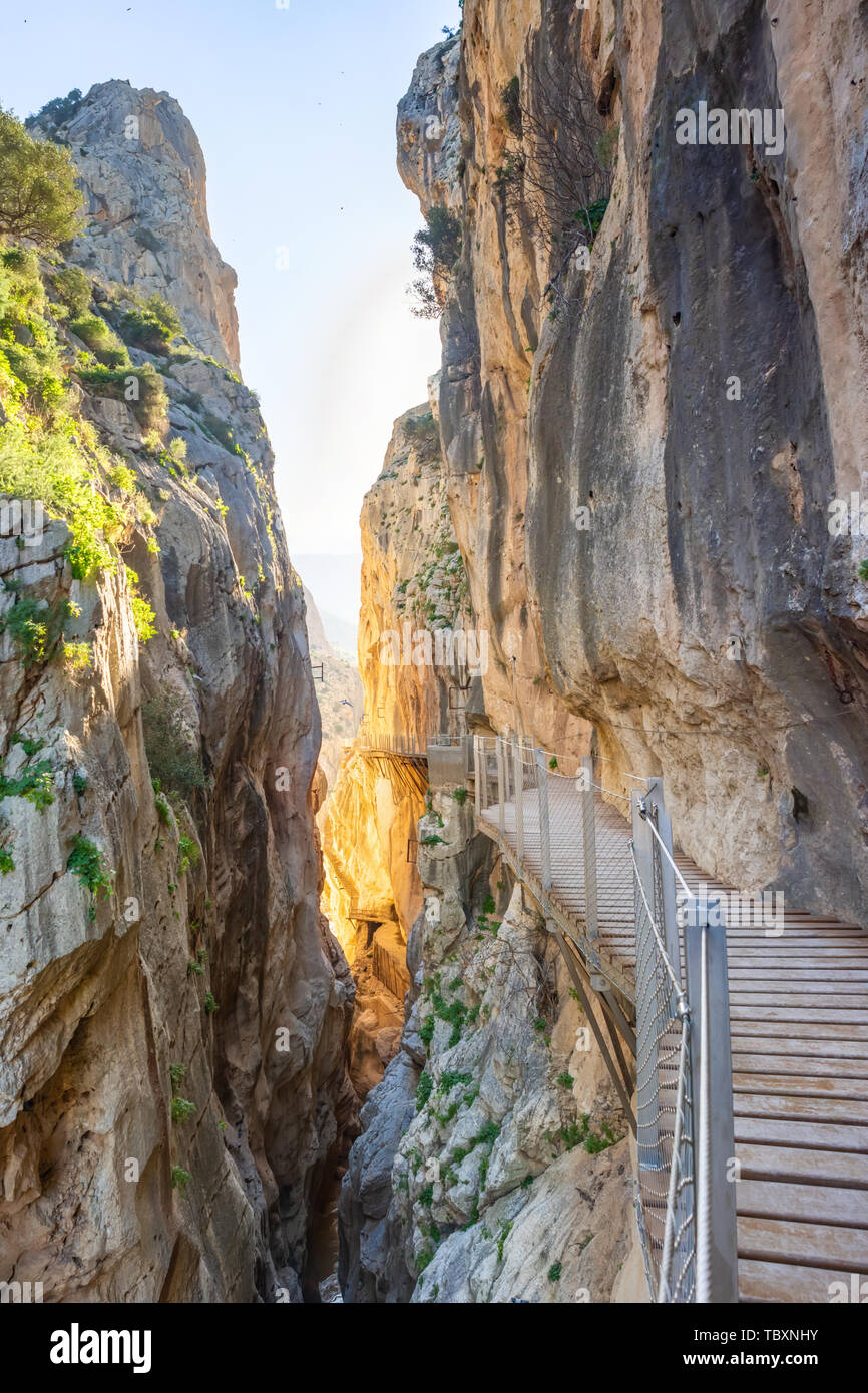 Vue d'El Caminito del Rey ou petit chemin du Roi, l'un des plus dangereux sentier rouvert 2015 Malaga, Espagne Banque D'Images