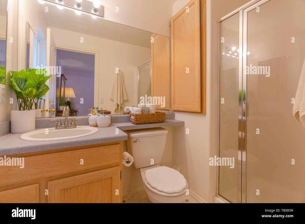 Intérieur d'une salle de bains bien éclairée et confortable avec lavabo et toilettes Banque D'Images