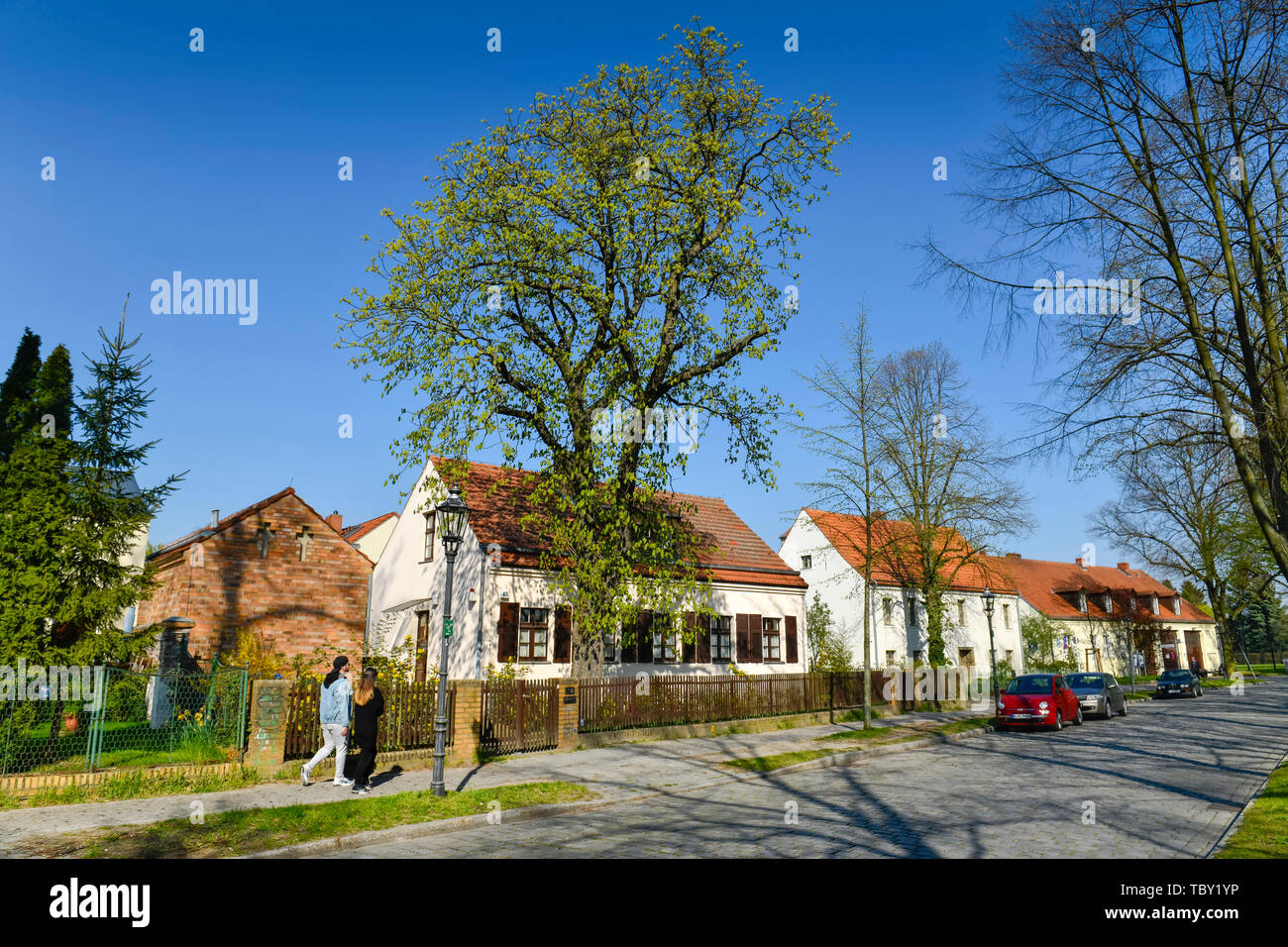 Meadow Village, à l'ancien champ de Marien, cour du temple montagne nice, Berlin, Allemagne, Kramer, Alt-Marienfelde, Tempelhof-Schöneberg, Deutschland Banque D'Images