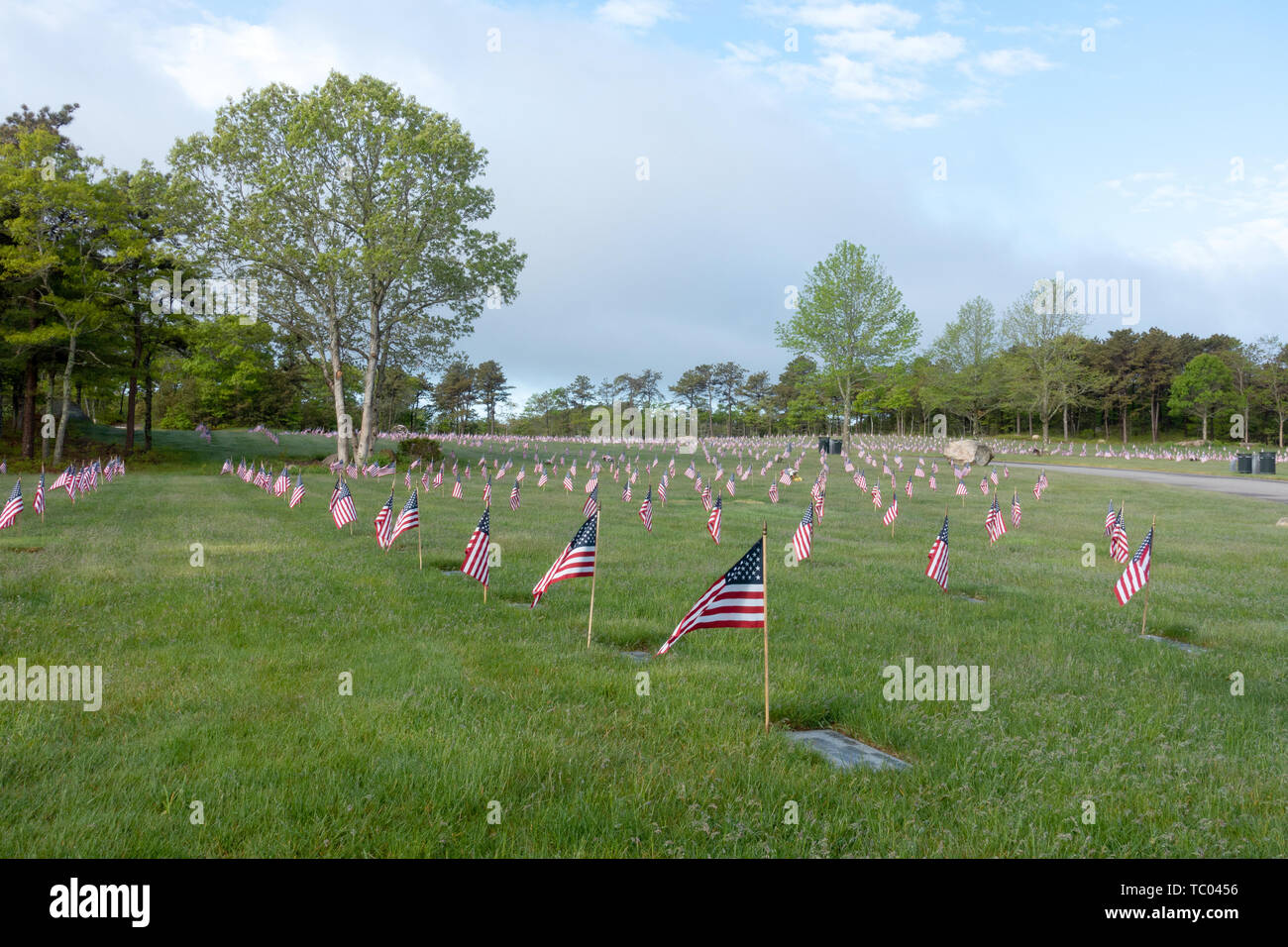 Drapeaux américains placés à la tombe des marqueurs dans le Cimetière National de Memorial Day en Bourne, Massachusetts USA Banque D'Images