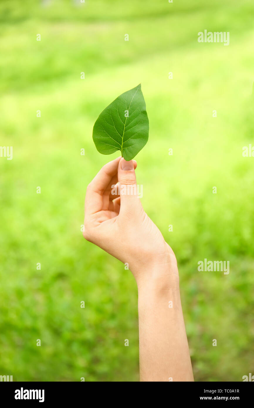 La main féminine avec des feuilles vertes à l'extérieur. Eco concept Banque D'Images