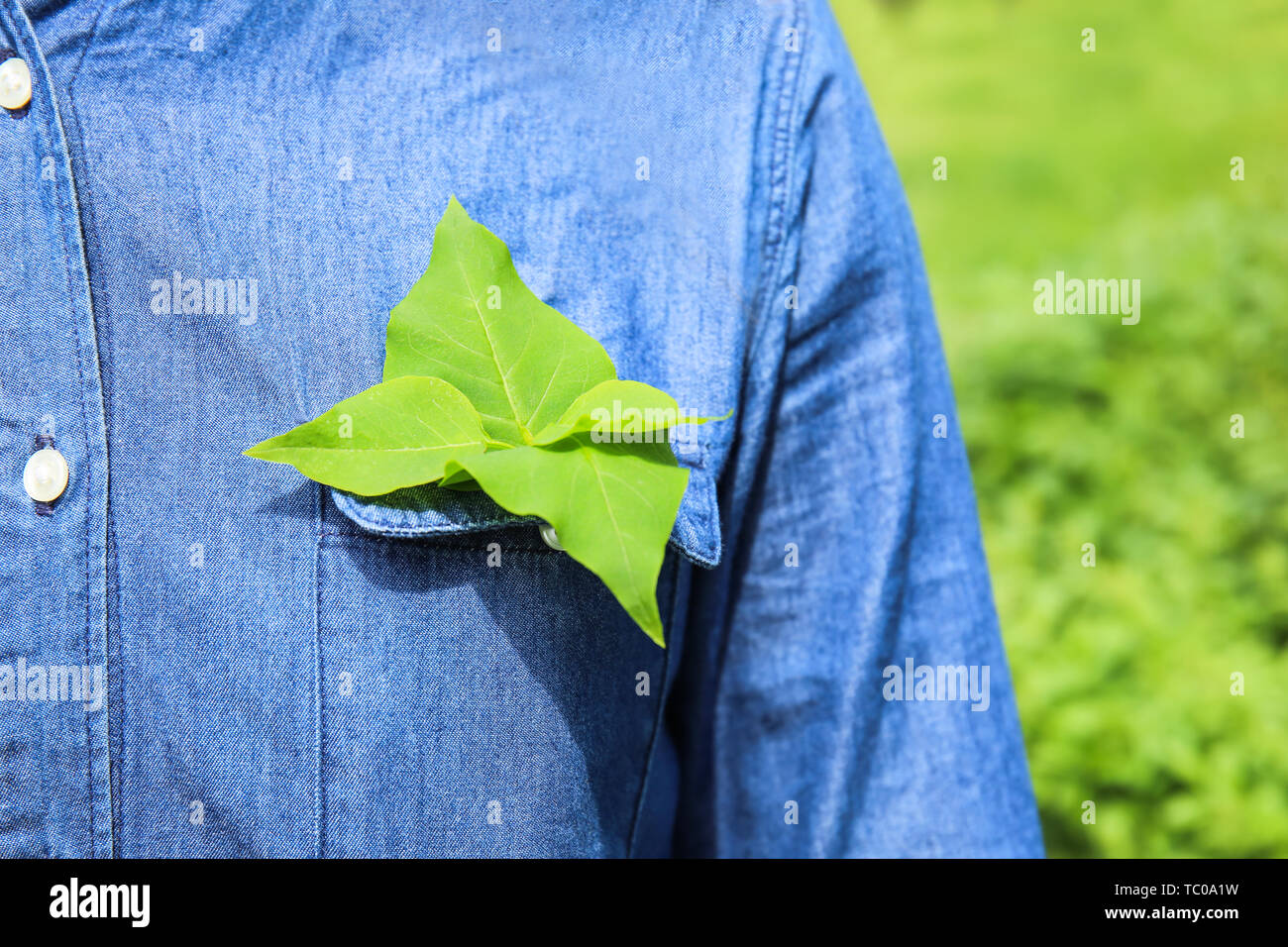 Femme avec des feuilles vert frais dans la poche à l'extérieur. Eco concept Banque D'Images