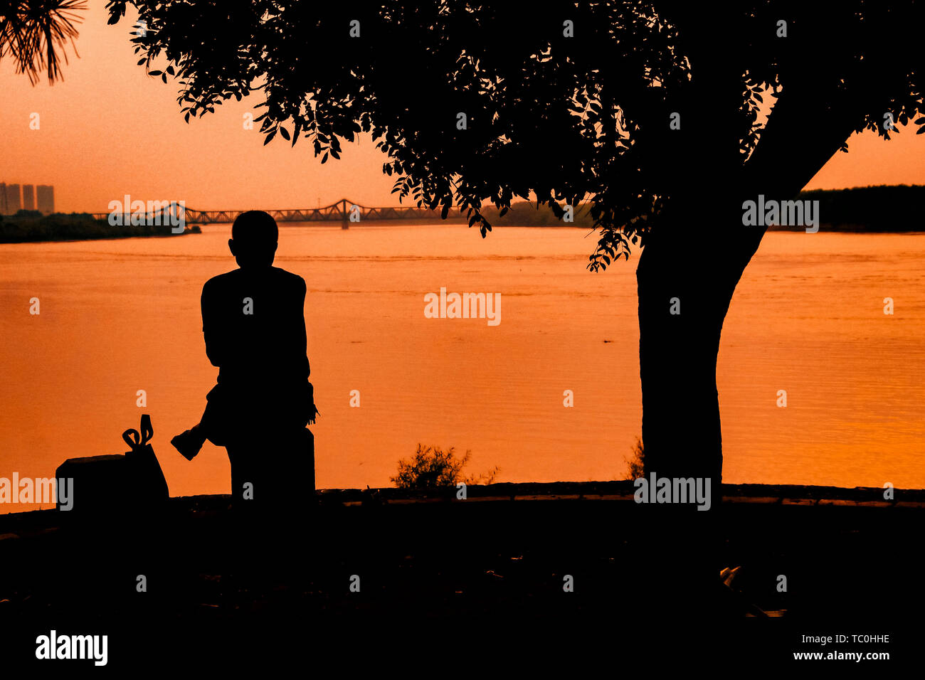 La vie et l'accompagnement Banque D'Images