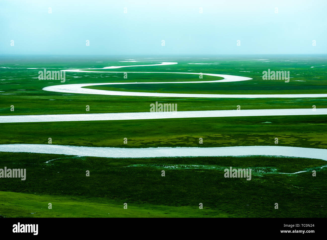 Bayinbrook Prairie, Yili, Xinjiang Banque D'Images