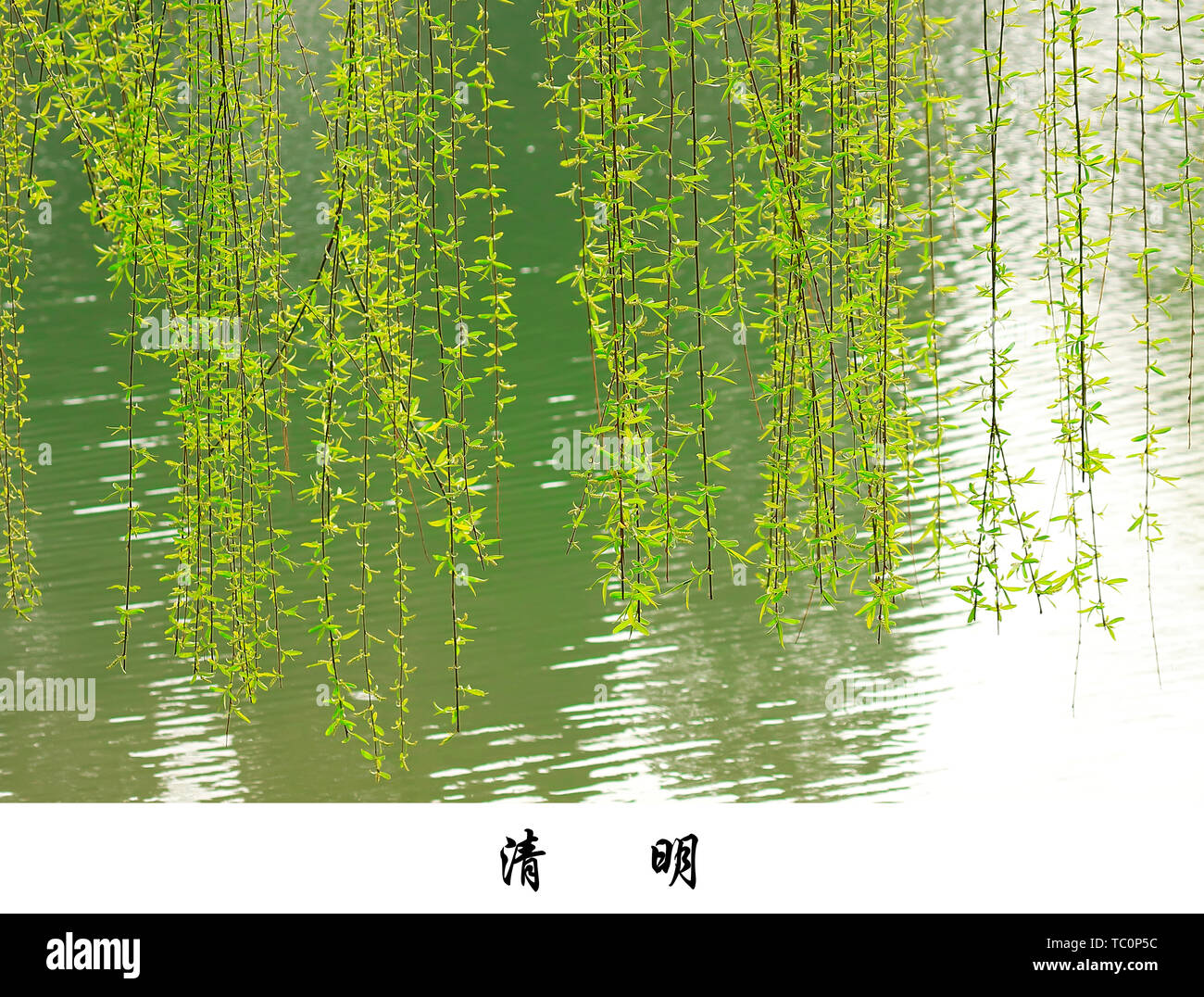 24 termes solaires ----Qingming Banque D'Images