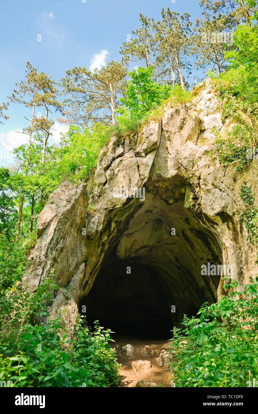 Entrée de la grotte naturelle sombre dans la forêt, ancien tunnel dans la roche, la maison des peuples anciens Banque D'Images