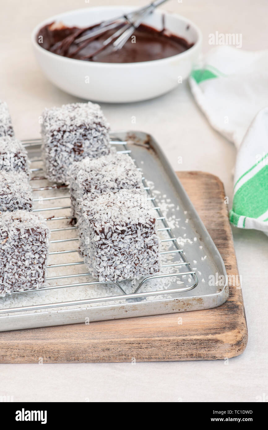 Des gâteaux de Lamington. Gâteau d'Australie. Gâteau éponge coupé en cubes enrobés d'une couche de sauce au chocolat et roulé dans la noix de coco desséchée Banque D'Images