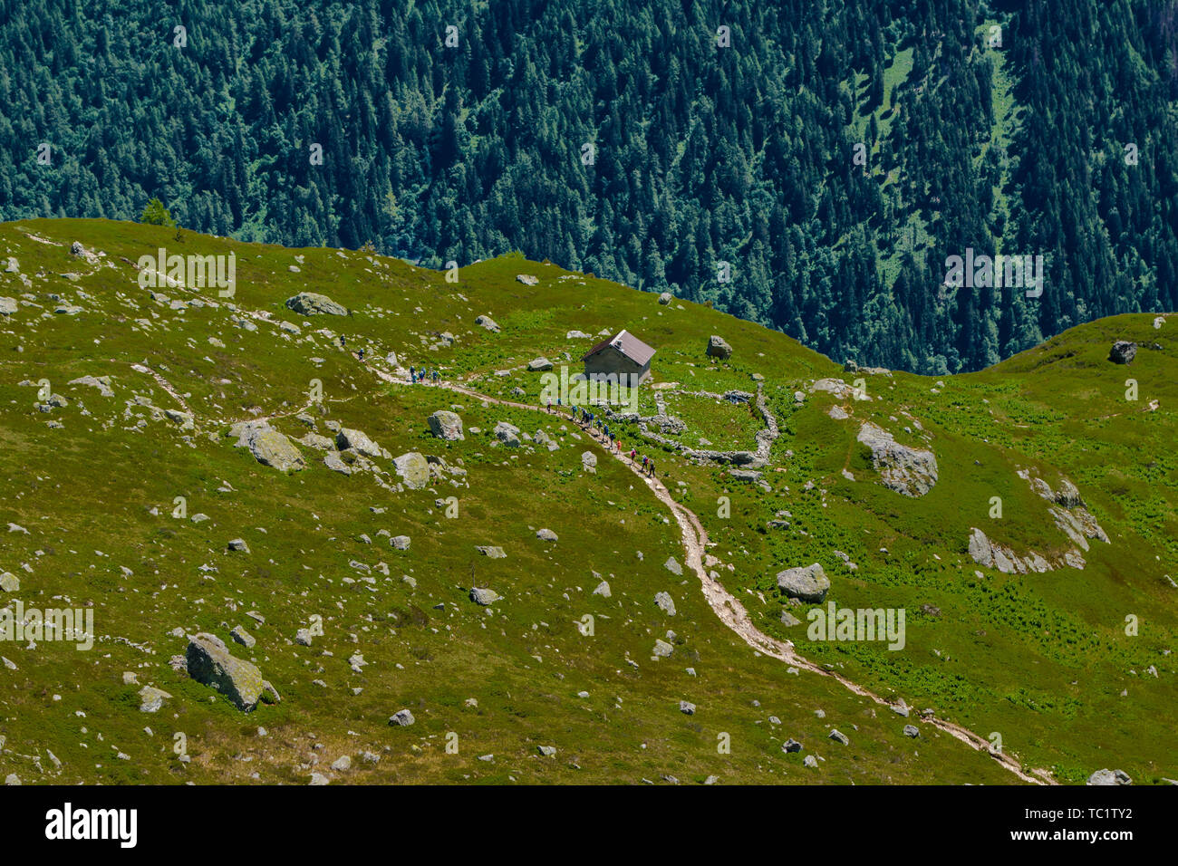 Regardant vers le bas sur des groupes de randonneurs réunion par Jonction de sentiers en montagne luxuriante vert en été à Aiguilles Rouges Chamonix France Banque D'Images