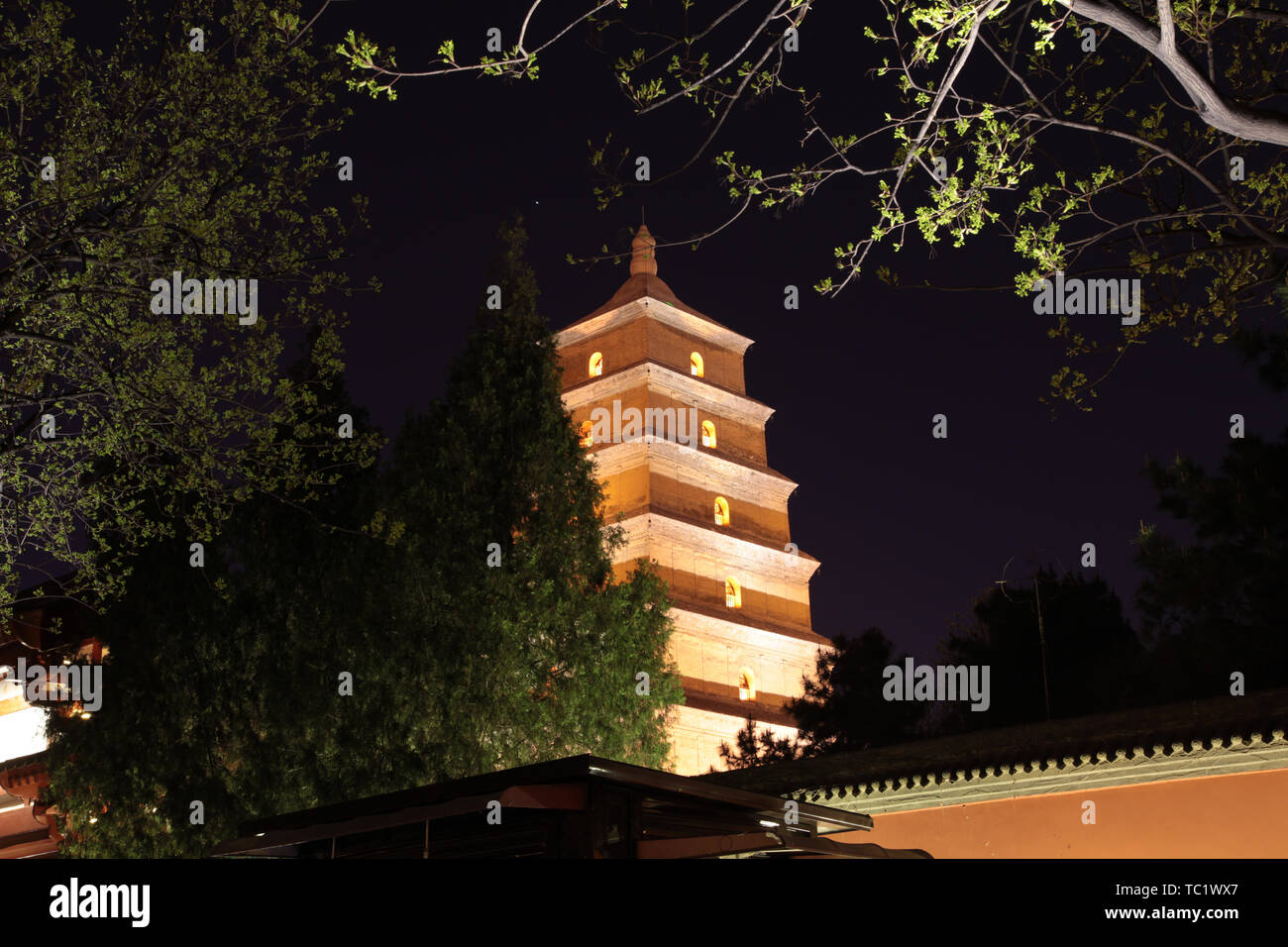 Vue de la nuit de la Grande Pagode de l'Oie Sauvage à Xi'an, province du Shaanxi Banque D'Images