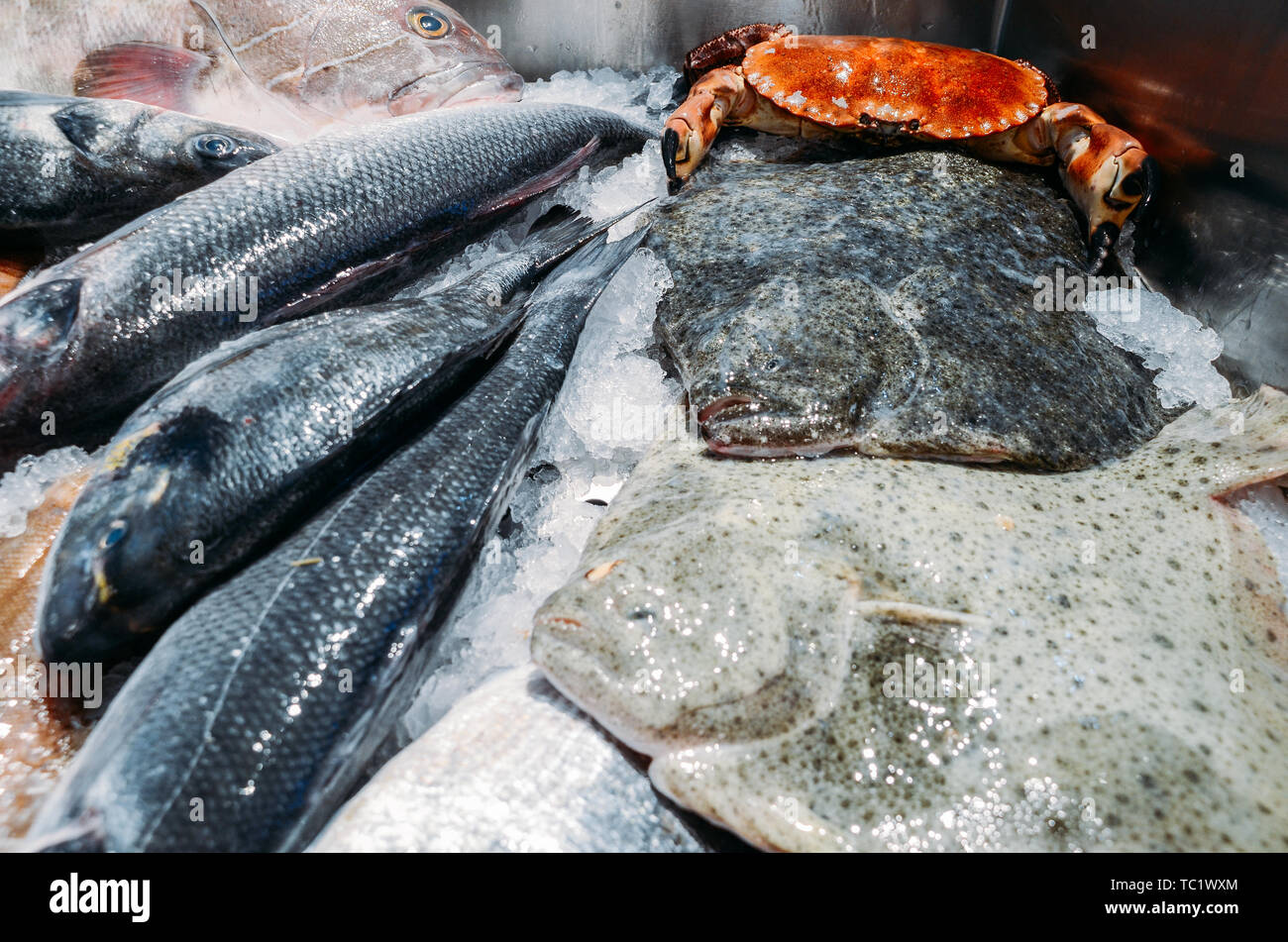 L'angle de la vie toujours élevée de matières premières diverses y compris le poisson frais Poisson Ray refroidissement sur lit de glace froide dans les fruits de mer de décrochage du marché. Banque D'Images