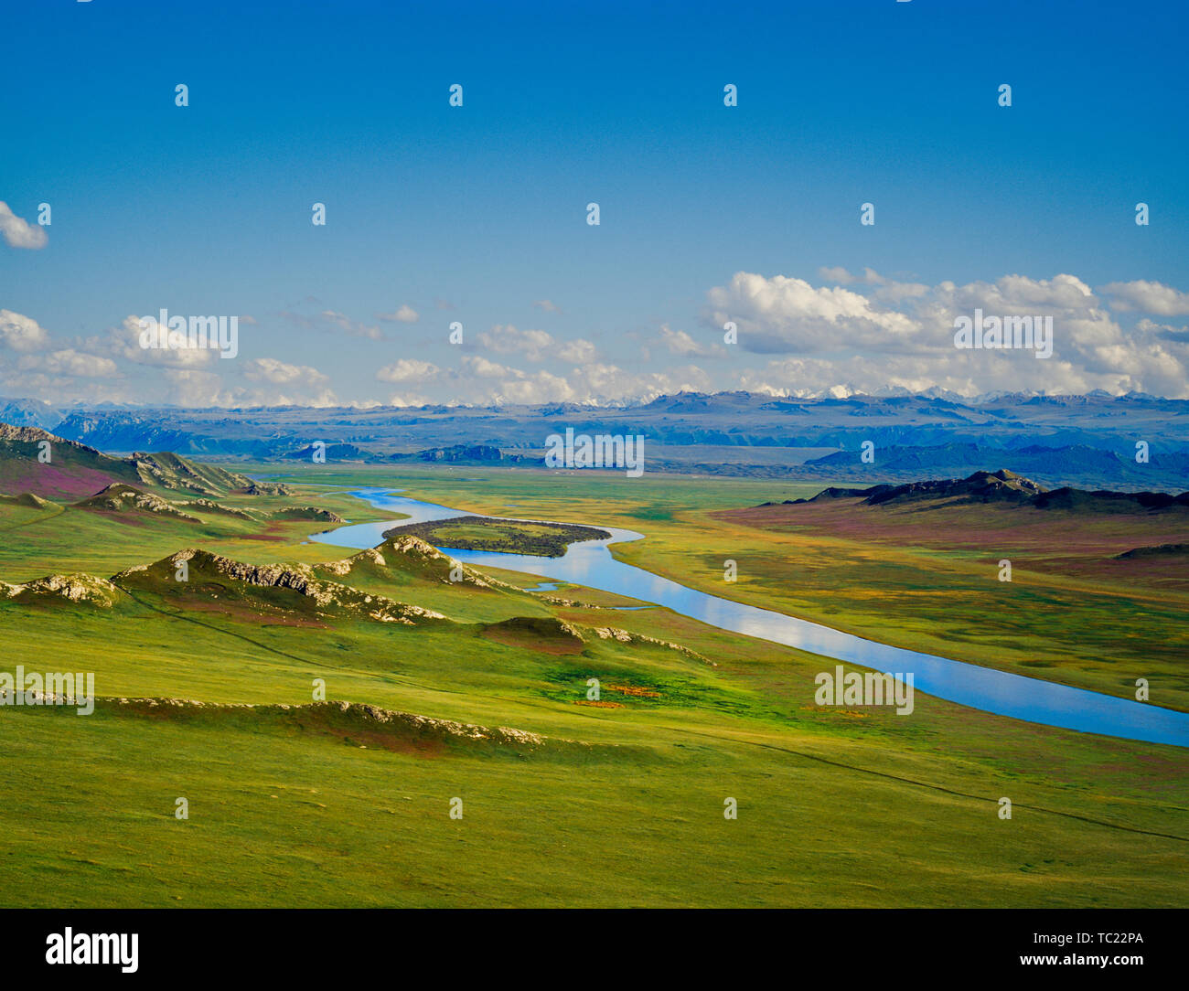 Bayinbrook au Xinjiang photographier des Prairies en août 2016 Banque D'Images