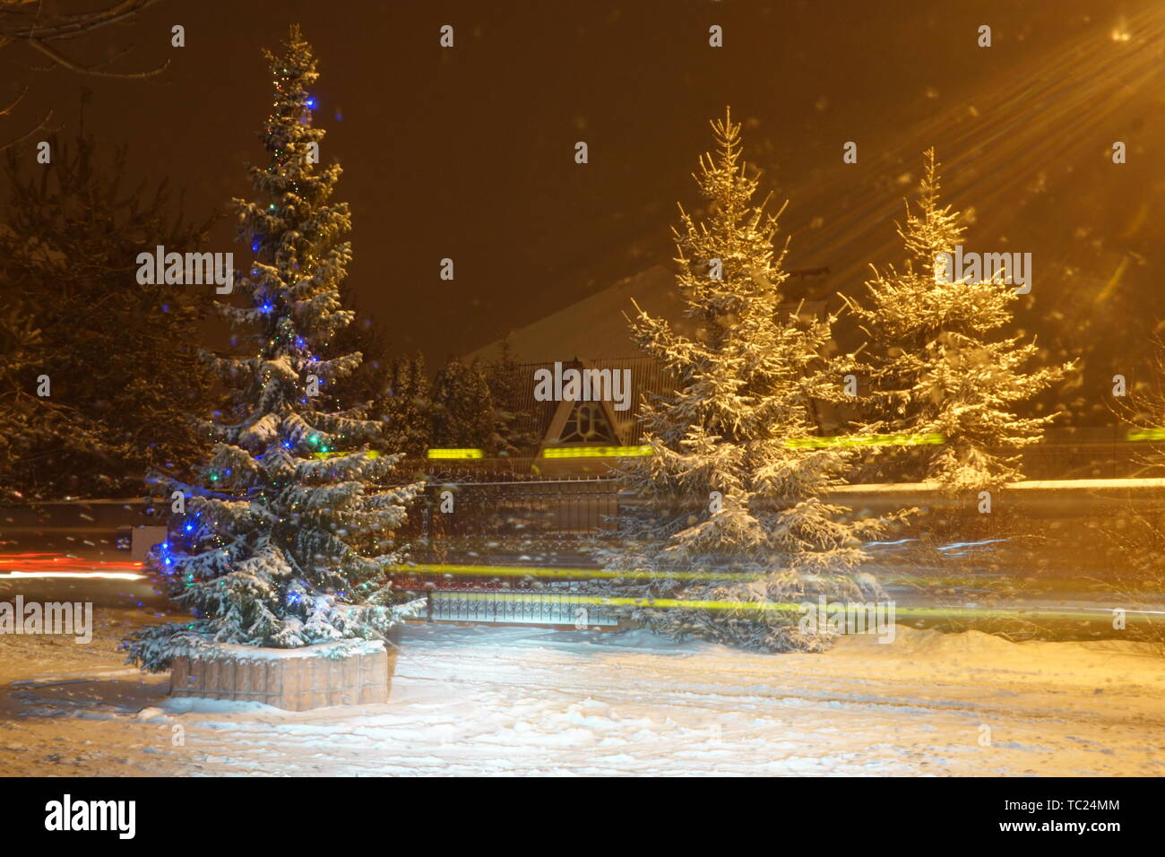Arbre de Noël avec des lumières et une guirlande dans le village. Il neige blizzard. Conte d'hiver de Meylan. Vacances Nouvel an Banque D'Images