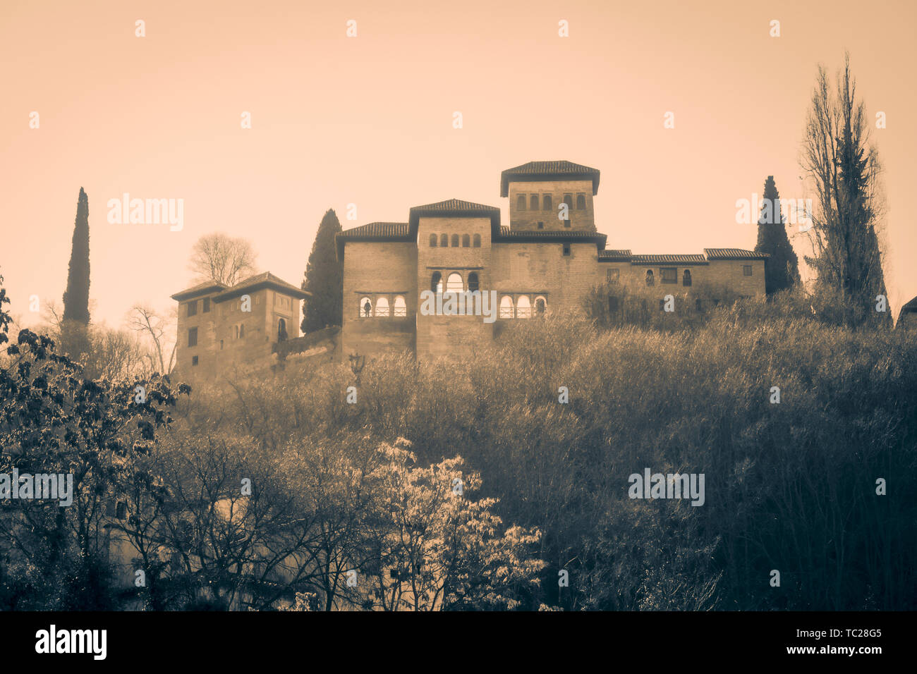 Le palais de l'Alhambra vu depuis le Darro. Grenade, Province de Grenade, Andalousie, Espagne du sud. L'Alhambra, Generalife et Albaicin sont désignés Banque D'Images