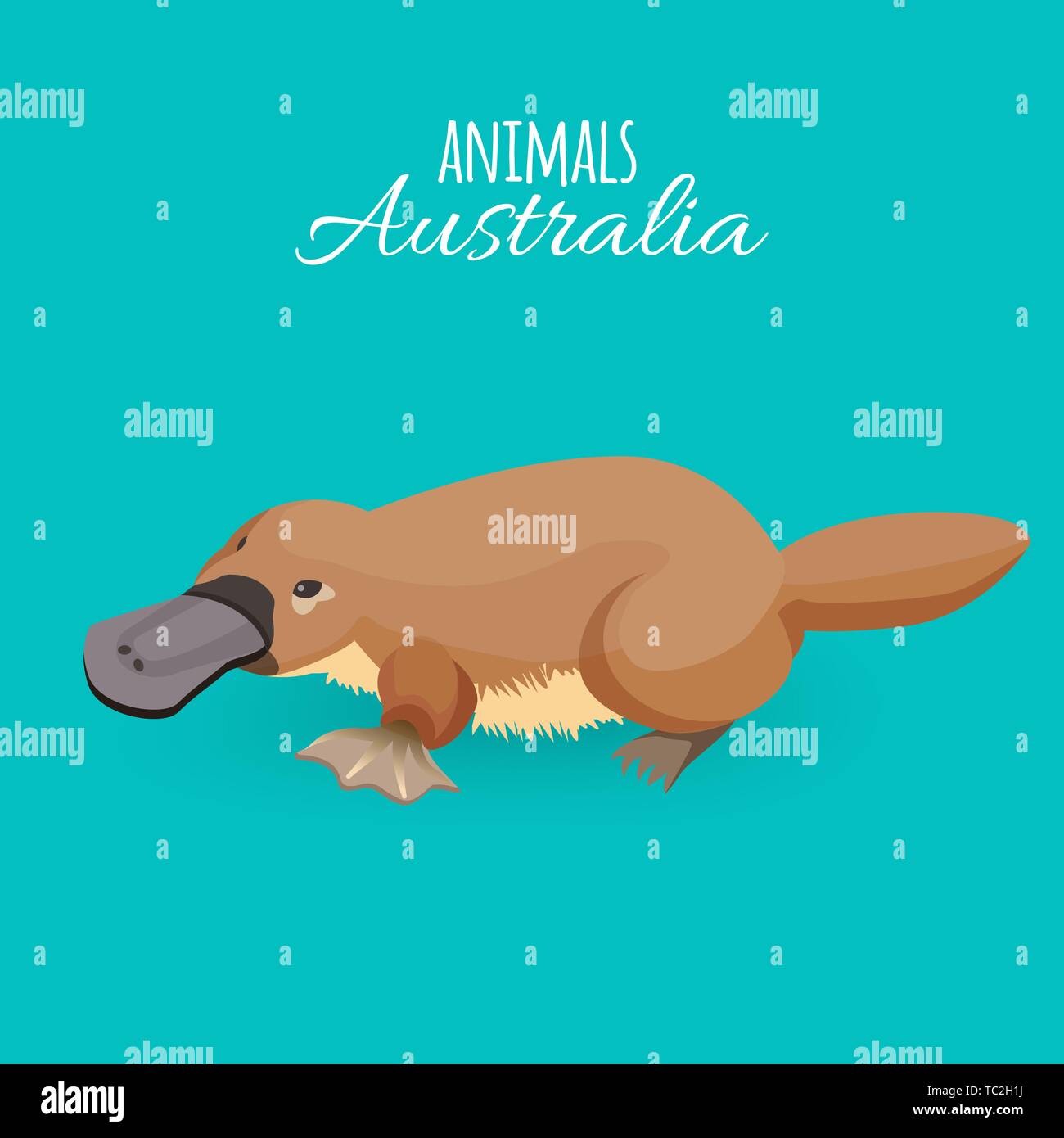 L'Australie animal brun ramper duckbilled platypus isolé sur fond azur Illustration de Vecteur