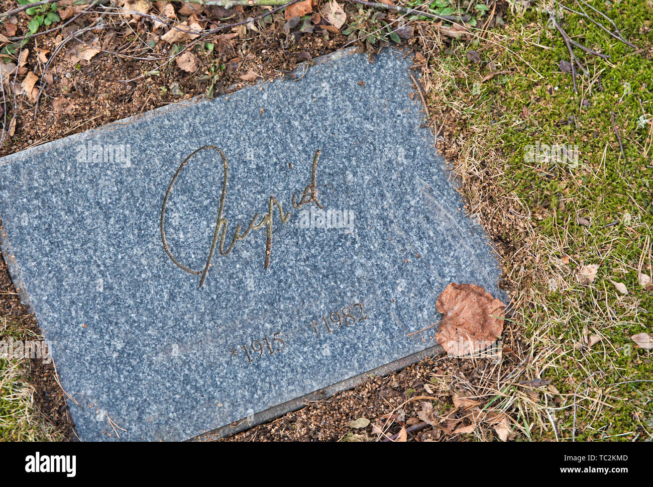 Tombe de l'actrice suédoise Ingrid Bergman et star de cinéma avec sa signature sur la pierre tombale, Norra Begravningsplatsen cimetière, Stockholm, Suède Banque D'Images