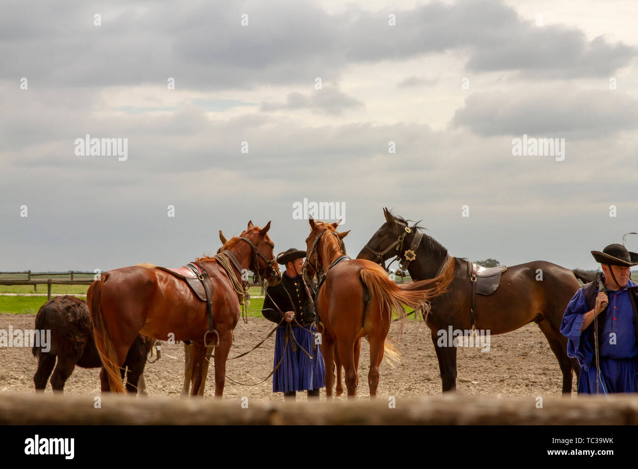 Puszta, Hongrie - le 23 mai 2019 : traditionnel csikos cavaliers de la Puszta région près de Kalocsa, Hongrie sur corral avec les chevaux. Banque D'Images