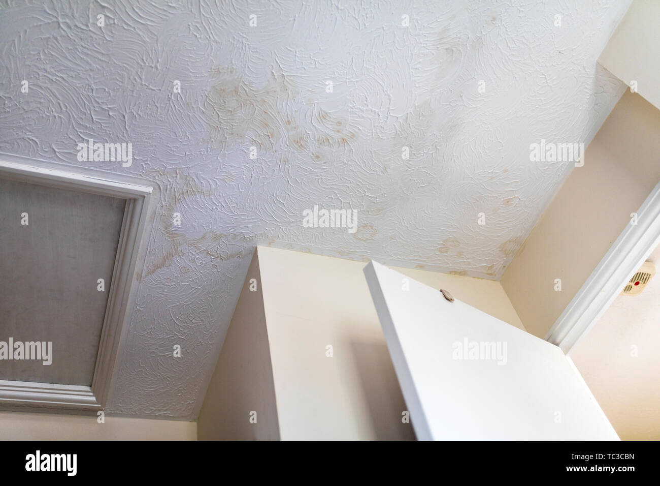 Taches sur le plafond après une fuite d'eau Banque D'Images
