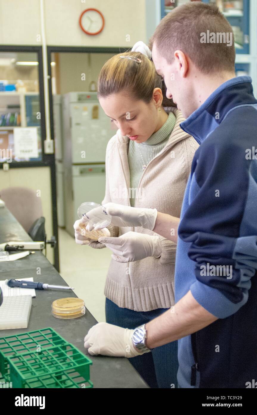 Profil partiel close-up de deux étudiants ou chercheurs, examinant le contenu d'une boîte de Pétri dans un département de biophysique lab prix, Johns Hopkins University, Baltimore, Maryland, le 10 février 2006. À partir de la collection photographique de Homewood. () Banque D'Images