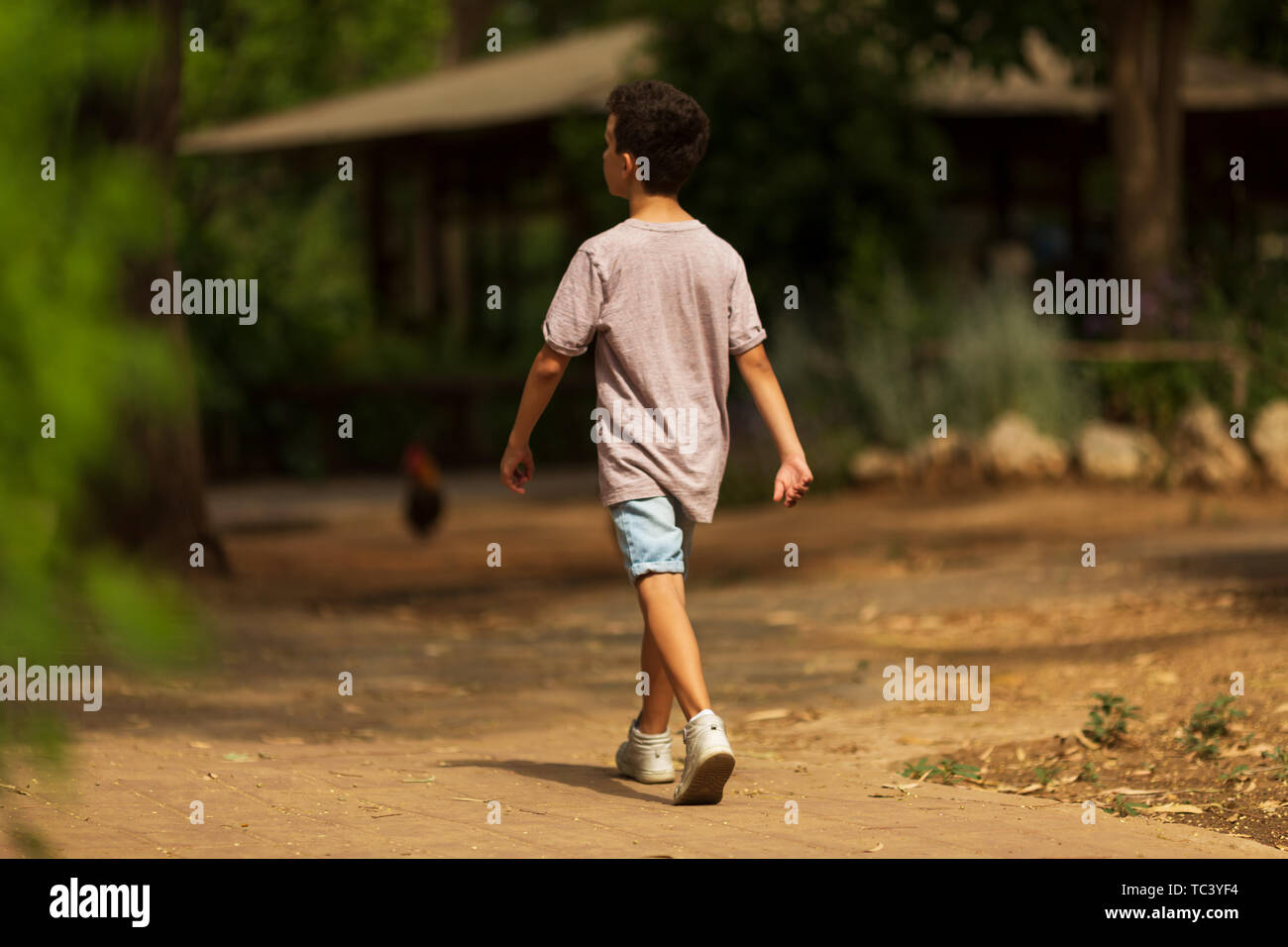 Petit enfant garçon marcher seul dans la forêt. Banque D'Images