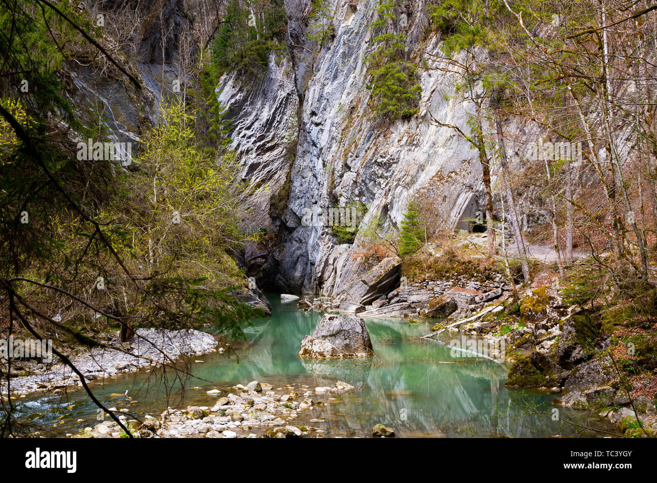 Gorges de la Jogne river canyon à Broc, Suisse Banque D'Images