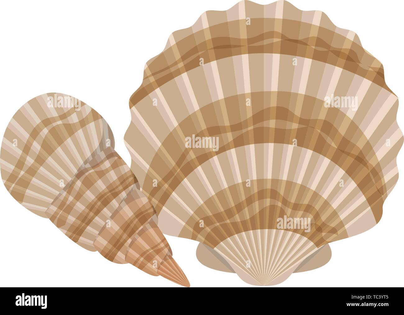 Coquillage mignon sur la mer en arrière-plan blanc Illustration de Vecteur