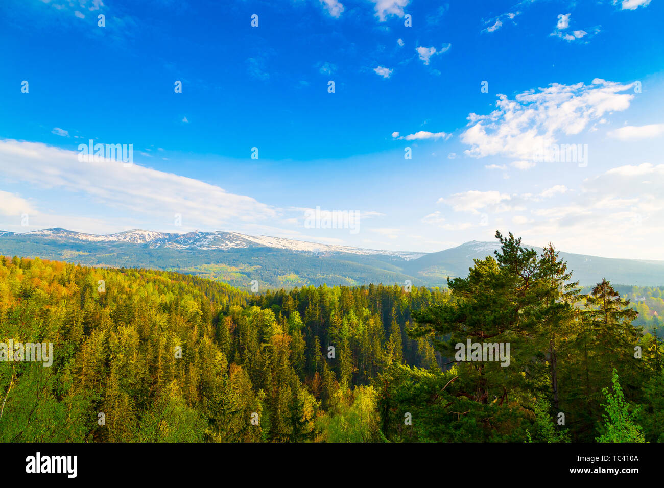 Scenic printemps paysage des monts des Géants - Mounatains Karkonosze, Pologne Banque D'Images