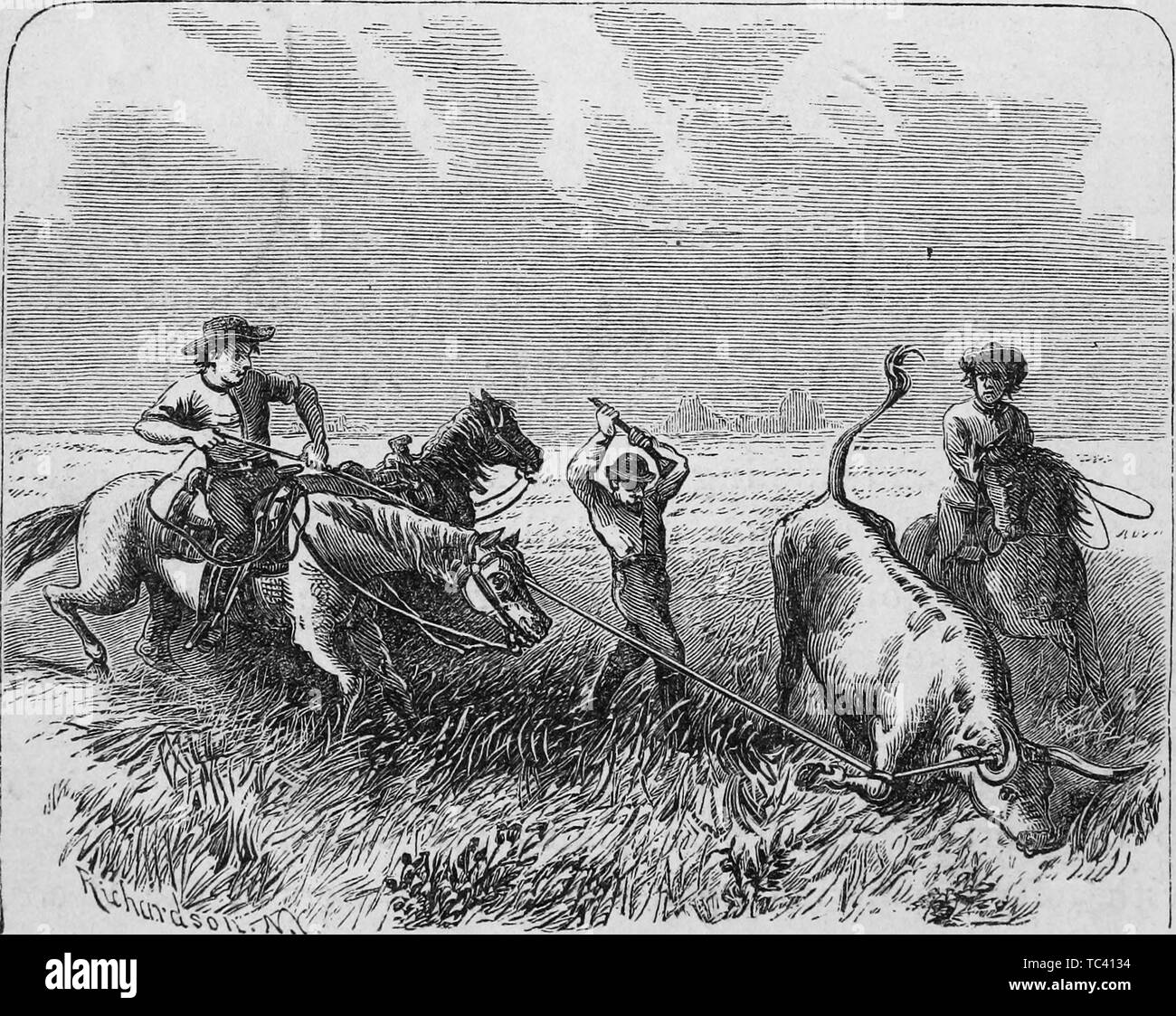 Gravure de cowboys marque un bétail, du livre "Brève histoire du Texas à partir de sa première transaction à laquelle est annexée la constitution de l'état' de De Witt Clinton Baker, 1873. Avec la permission de Internet Archive. () Banque D'Images