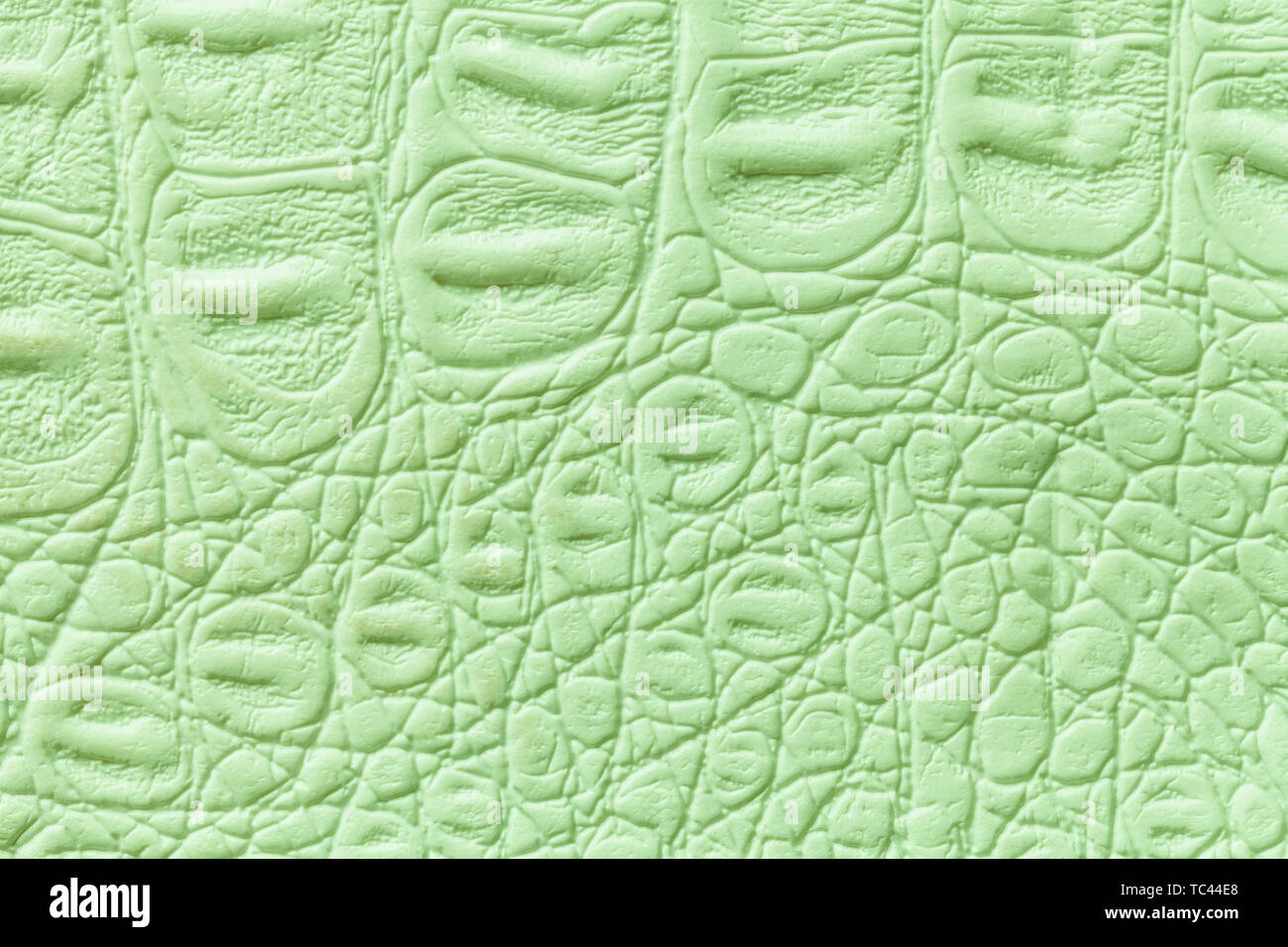 La texture en cuir vert, fond libre. Peau de reptile d'olive légère, macro. La structure de la nature du textile. Toile décorative crocodile de luxe. Banque D'Images