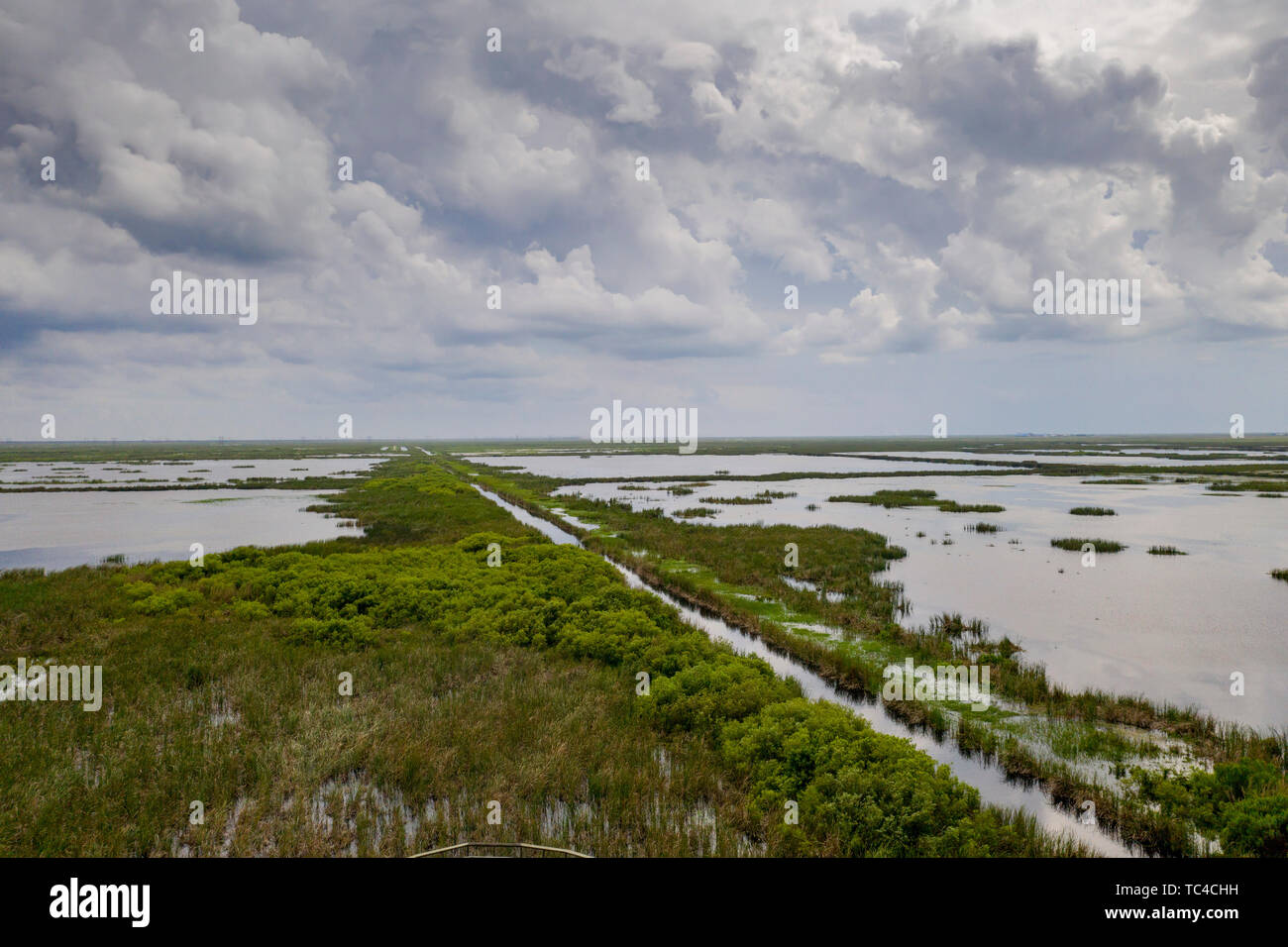 Belle Glade, Floride - une des zones humides artificielles, l'un des six domaines du traitement des eaux pluviales construits en Floride du sud pour réduire la quantité de phosphore e Banque D'Images