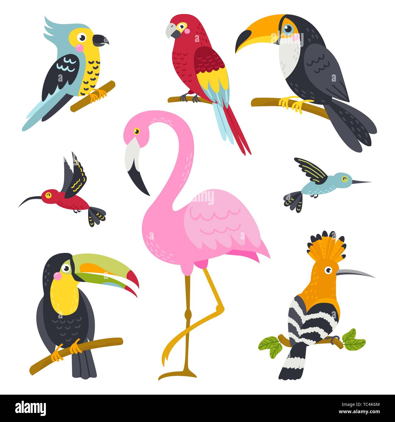Vector set d'adorables oiseaux de jungle Illustration de Vecteur