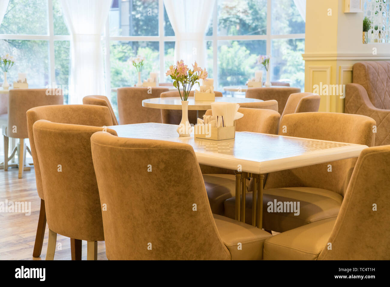 L'intérieur moderne avec des fenêtres et des fleurs. cafe prix éclairée par la lumière du soleil Banque D'Images
