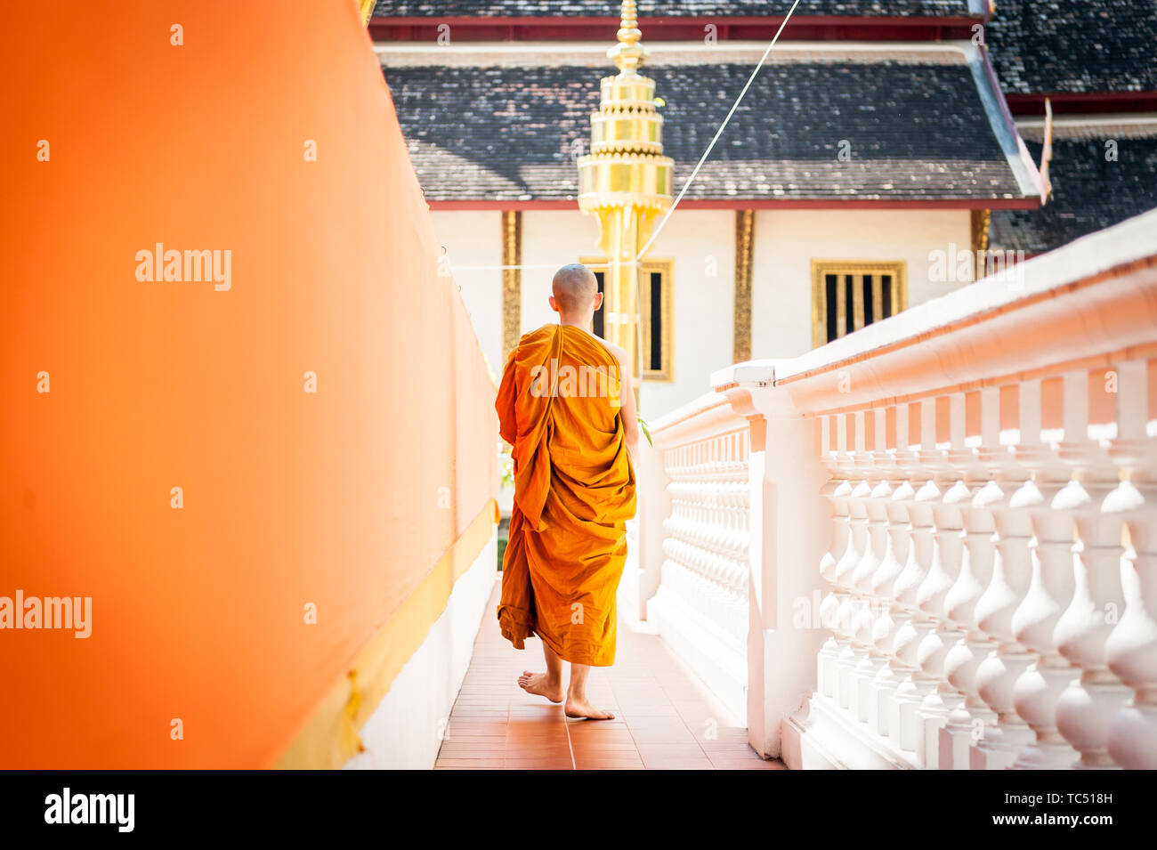 Wat Phra Singh Woramahavikarn Temple Bouddhiste Chiang Mai Thaïlande Banque D'Images