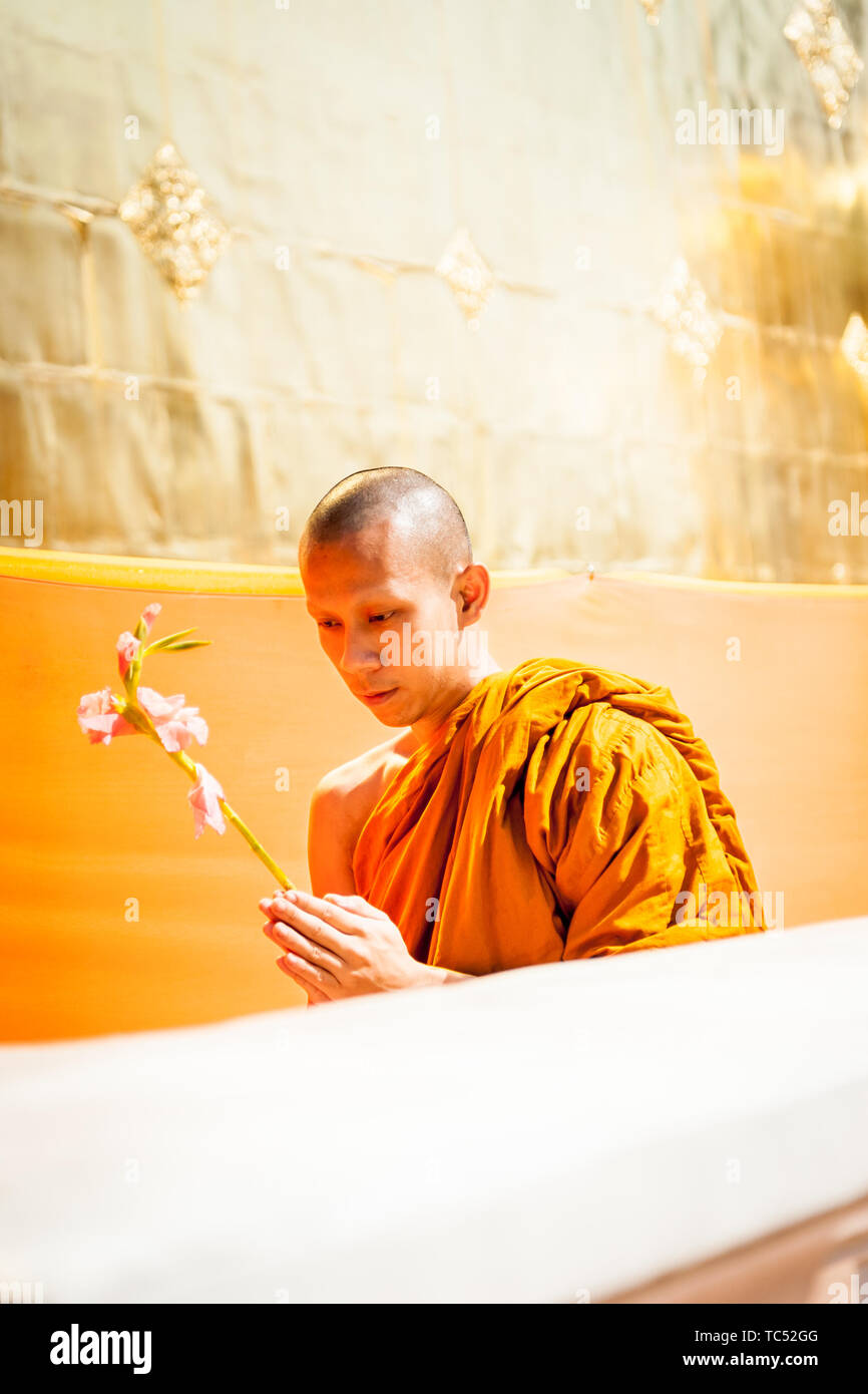 Wat Phra Singh Woramahavikarn Temple Bouddhiste Chiang Mai Thaïlande Banque D'Images