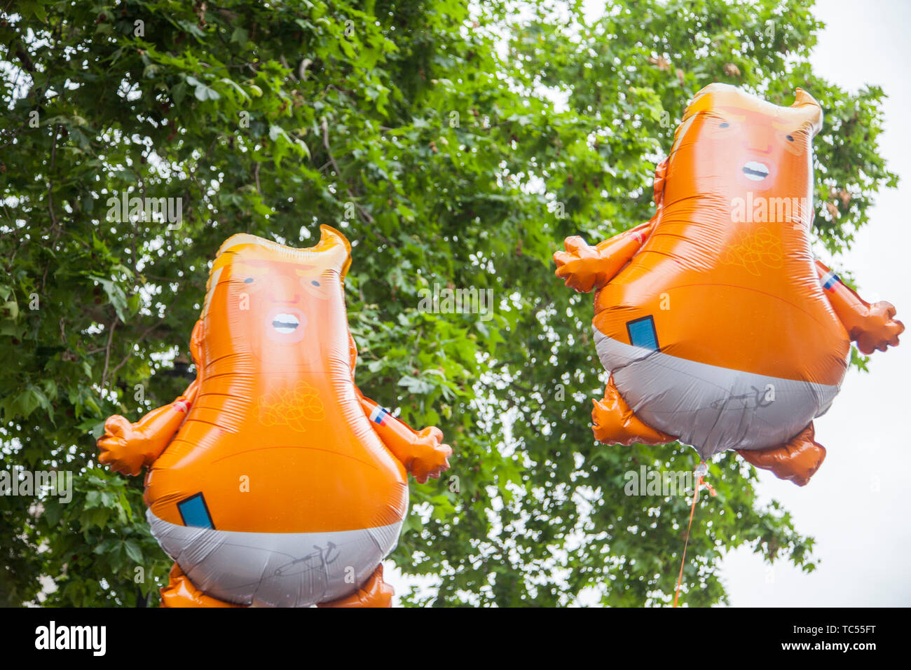 Londres, Royaume-Uni - Juin 4th, 2019 : Donald Trump Bébé ballons à l'hélium au cours d'un rassemblement anti Trump dans le centre de Londres Banque D'Images